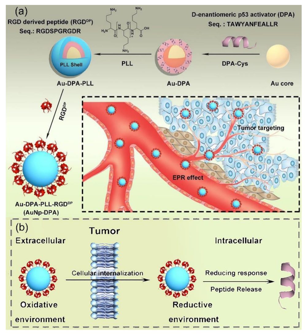 Molecules 26 03228 g011