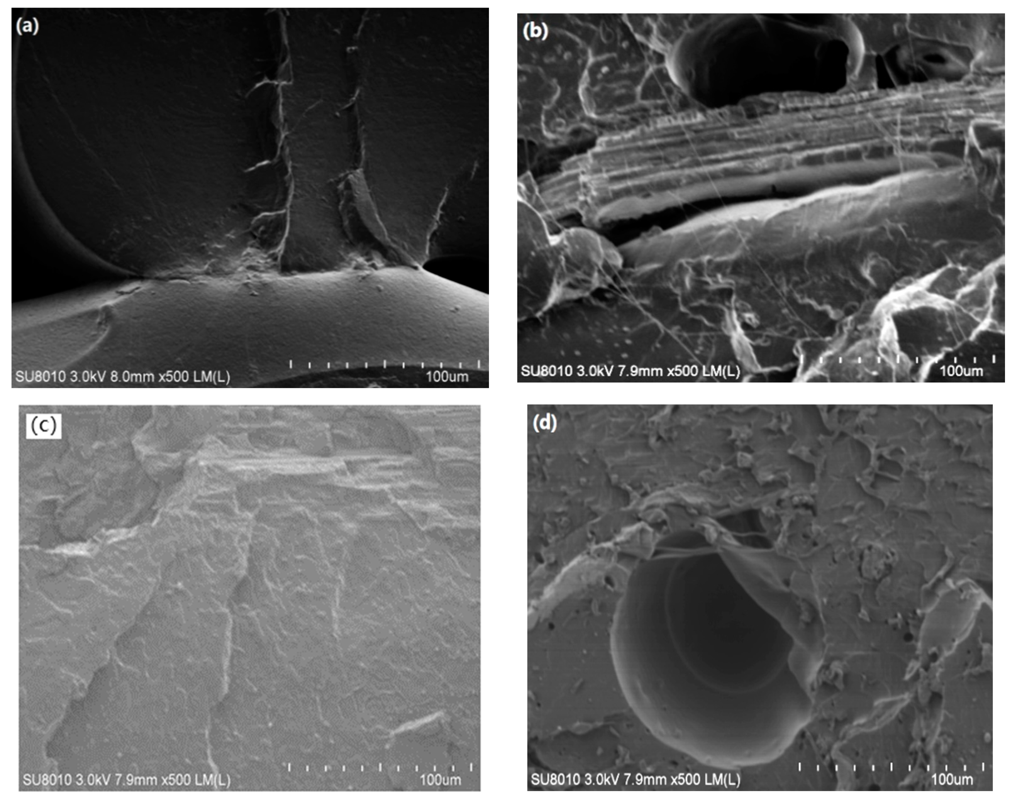 Molecules 26 03234 g002
