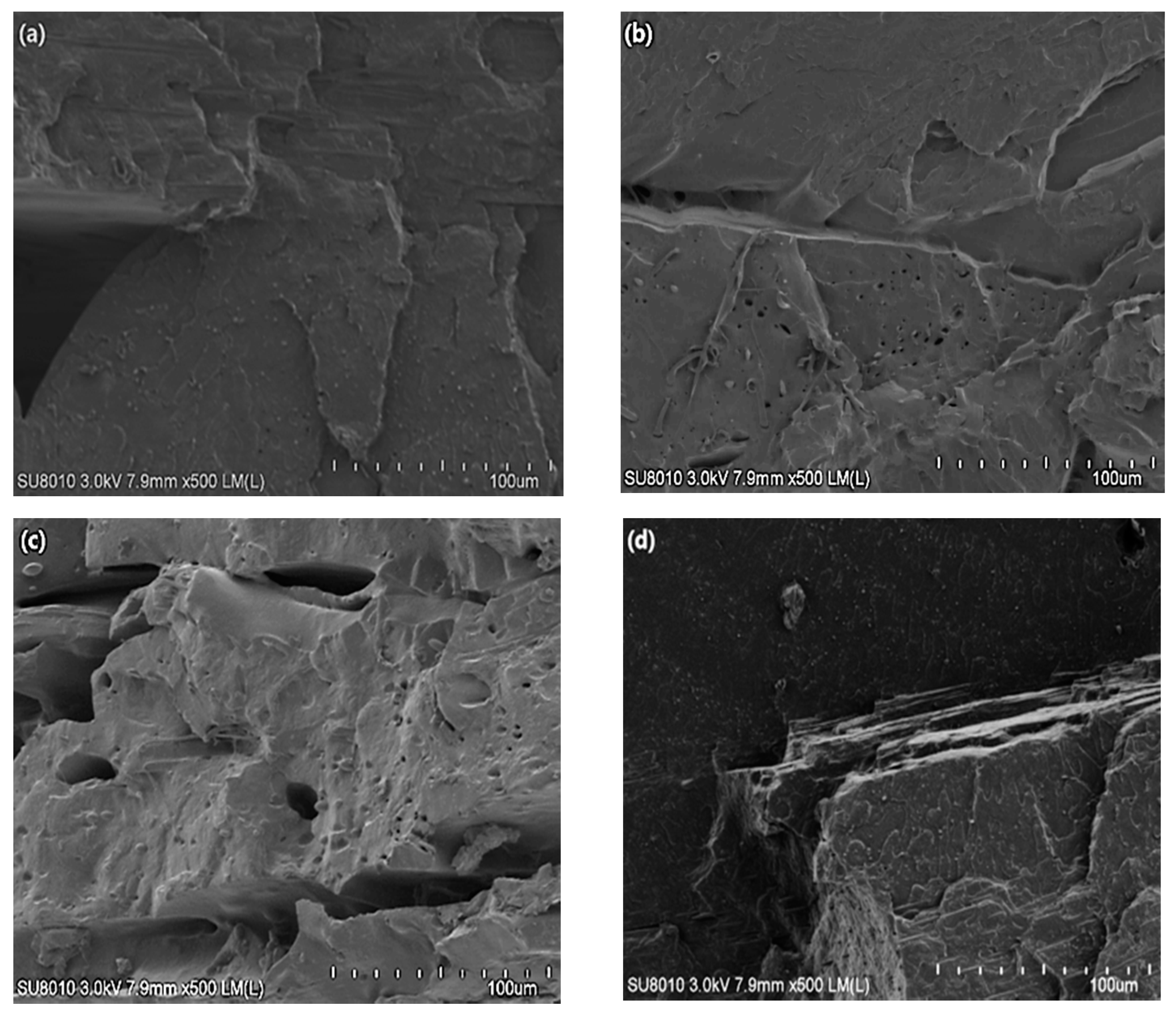 Molecules 26 03234 g006