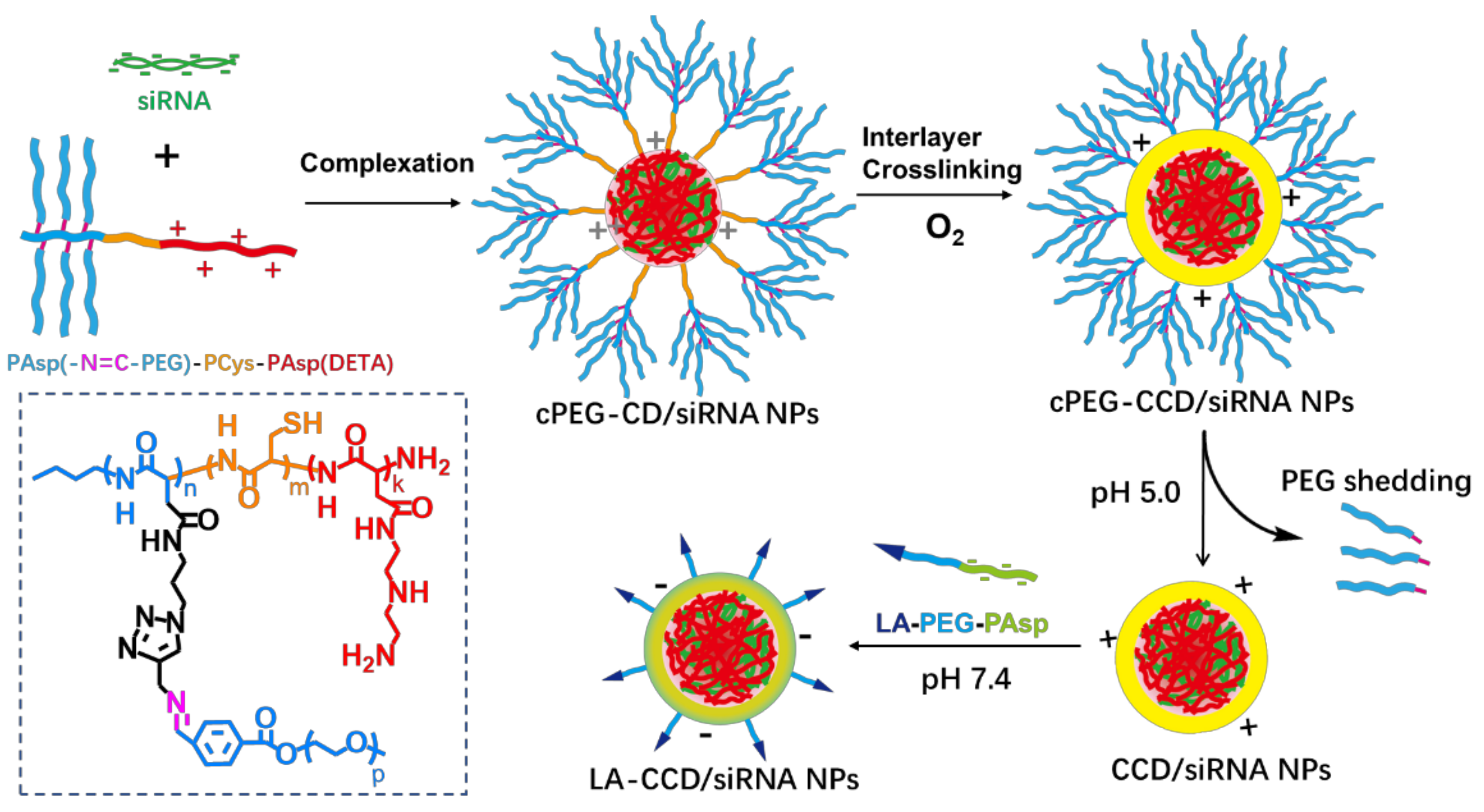 Molecules 26 03238 g001