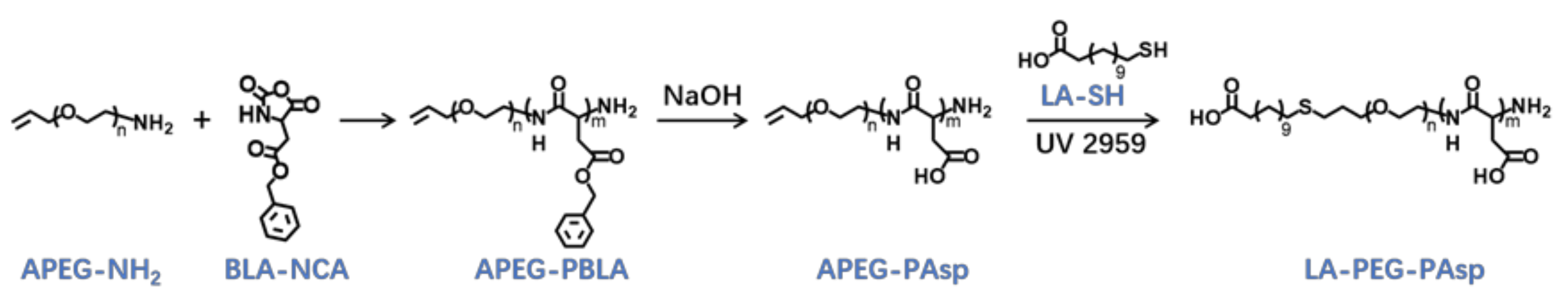 Molecules 26 03238 g009