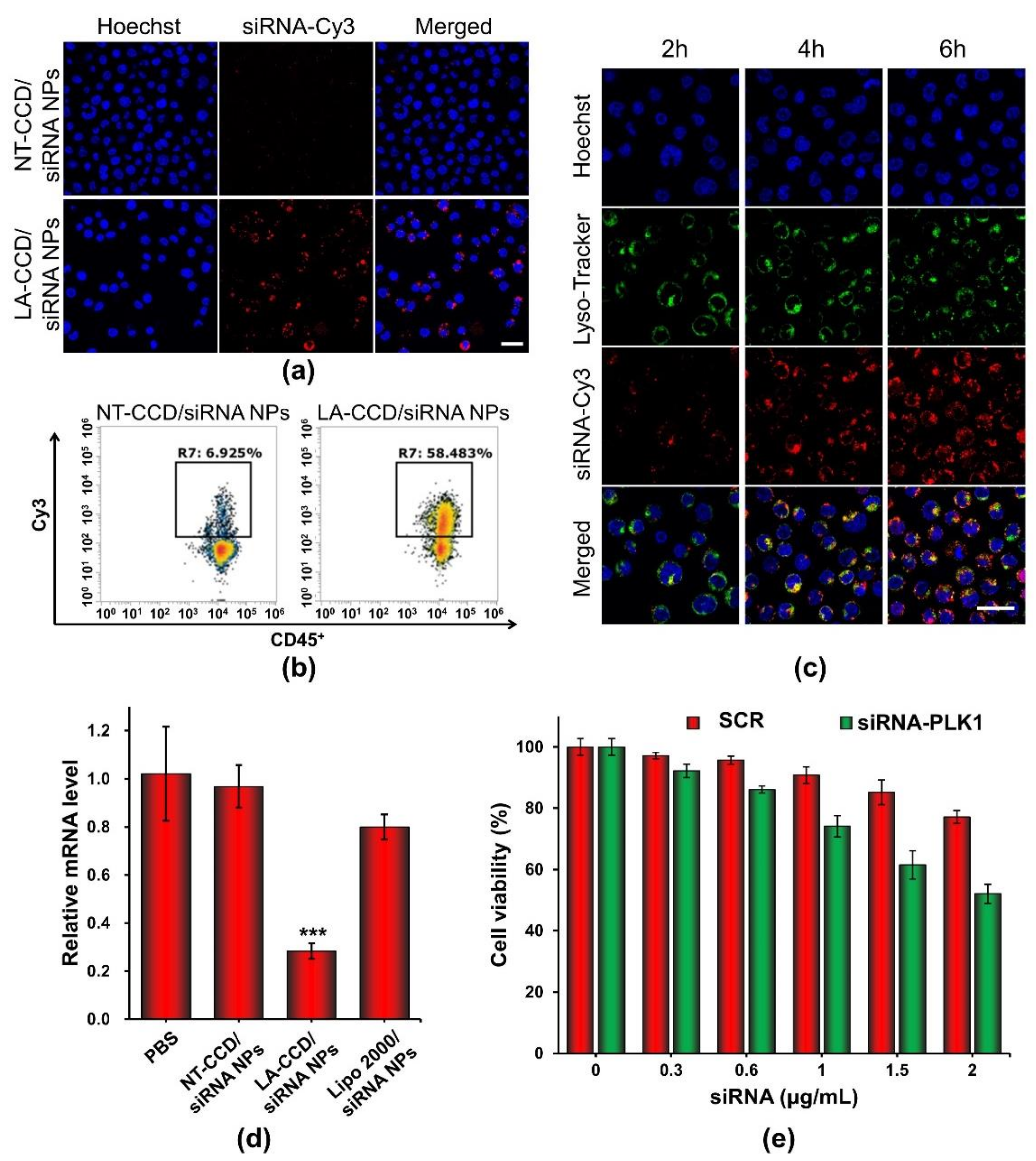 Molecules 26 03238 g013