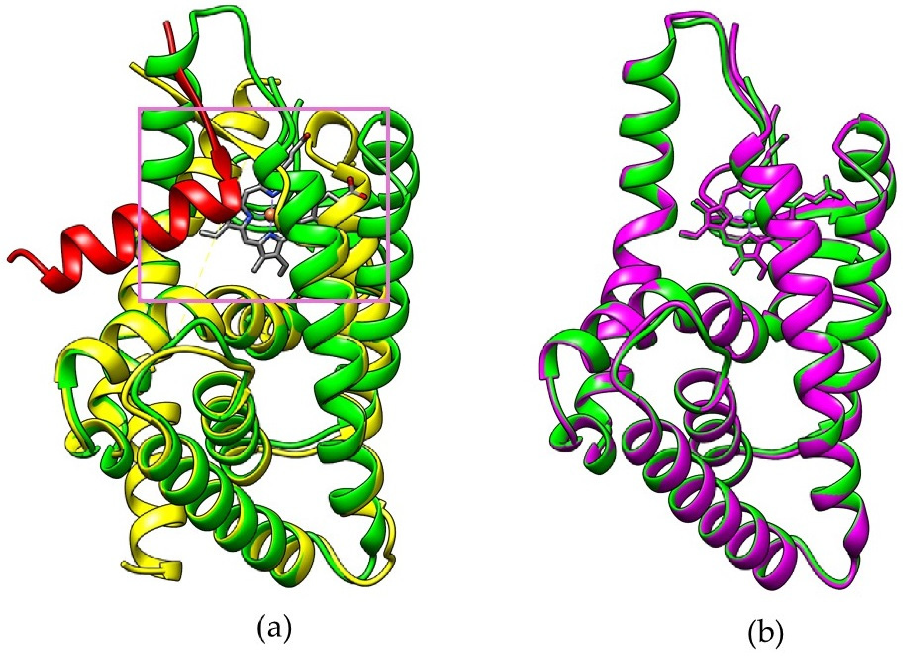 Molecules 26 03251 g001
