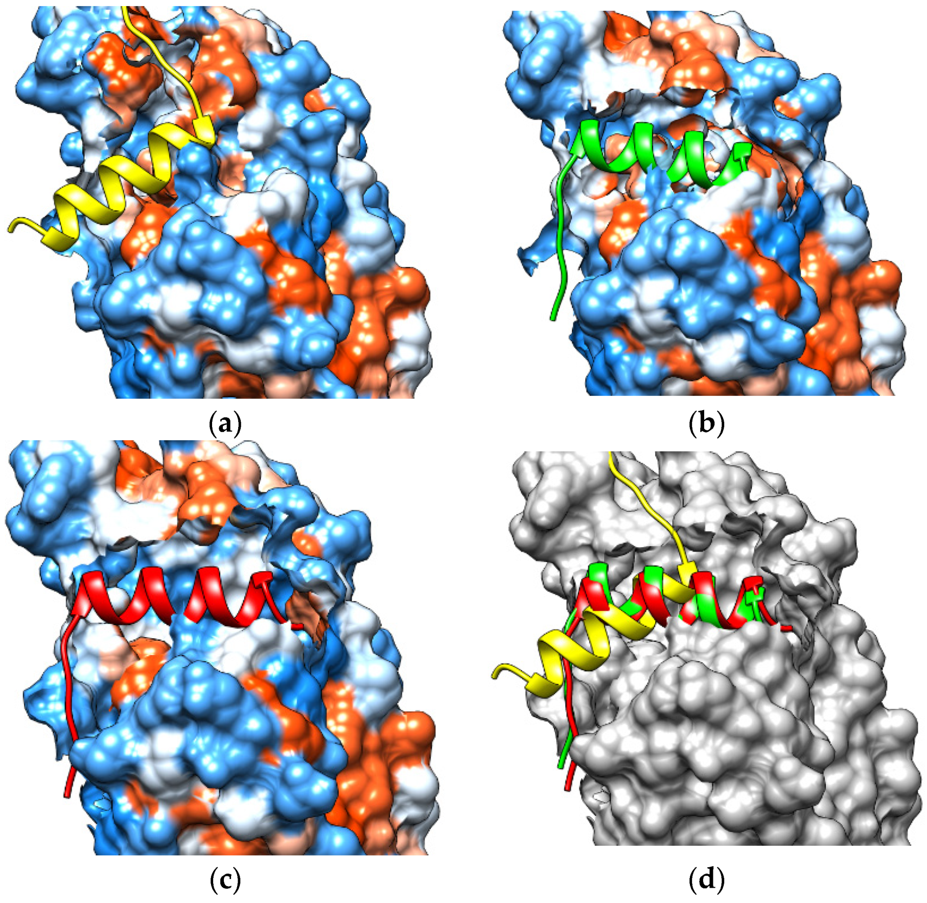 Molecules 26 03251 g012