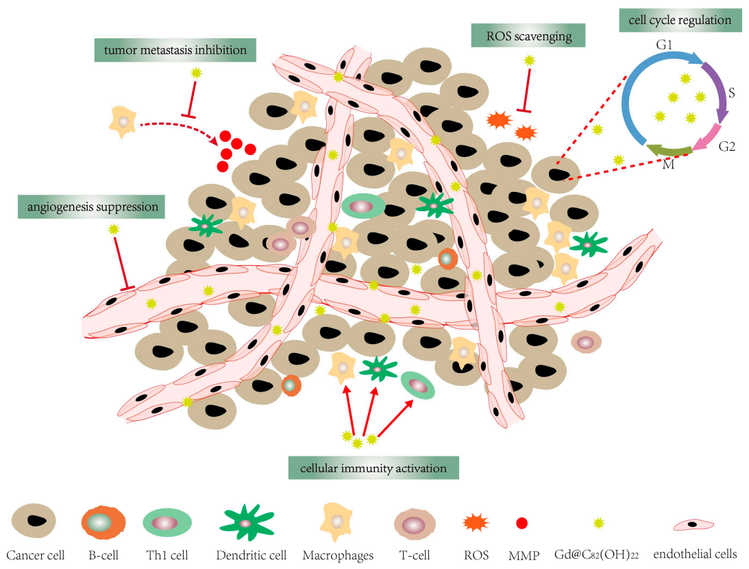 Molecules 26 03252 g001