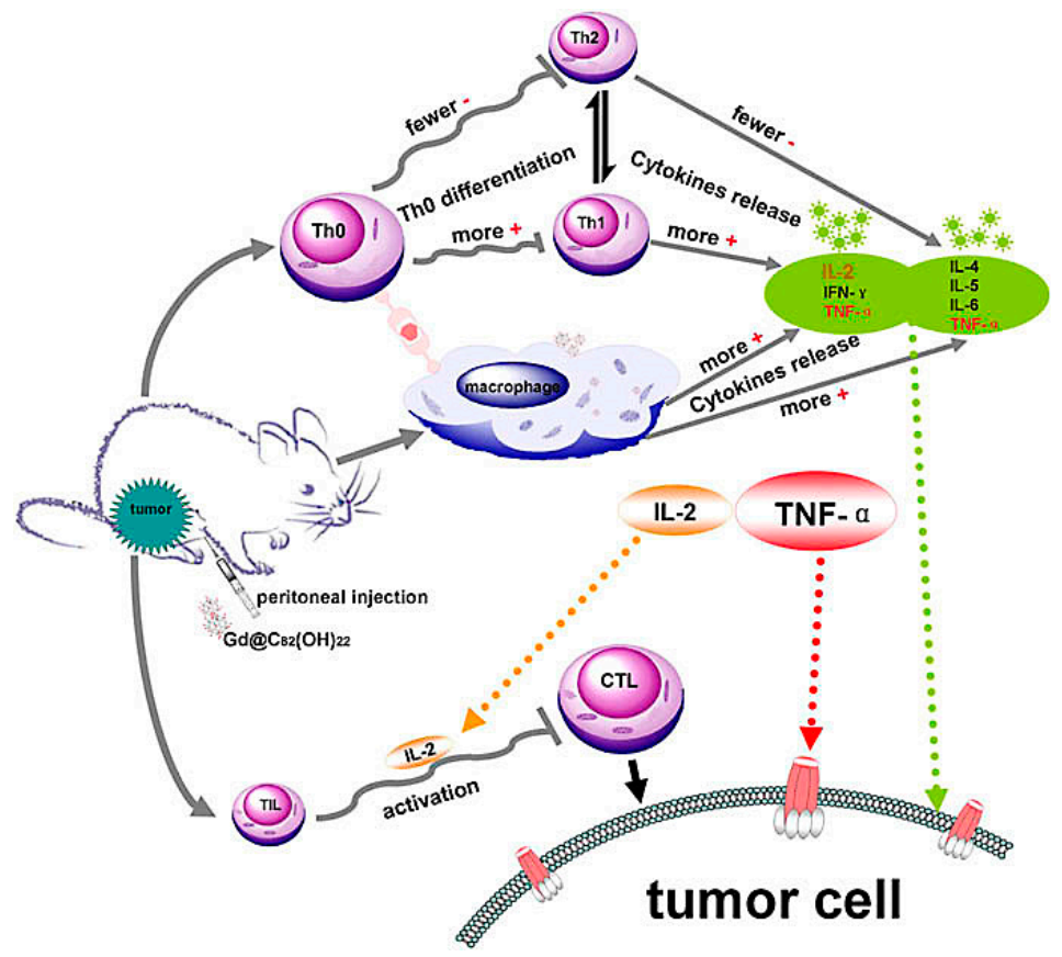 Molecules 26 03252 g002