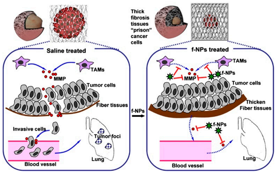 Molecules 26 03252 g004