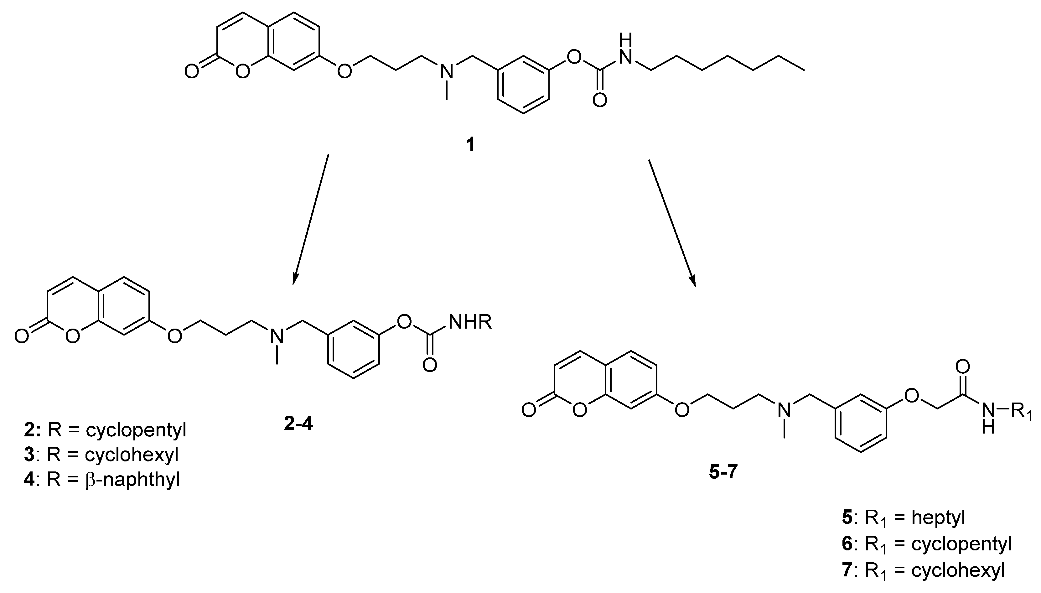 Molecules 26 03254 g001