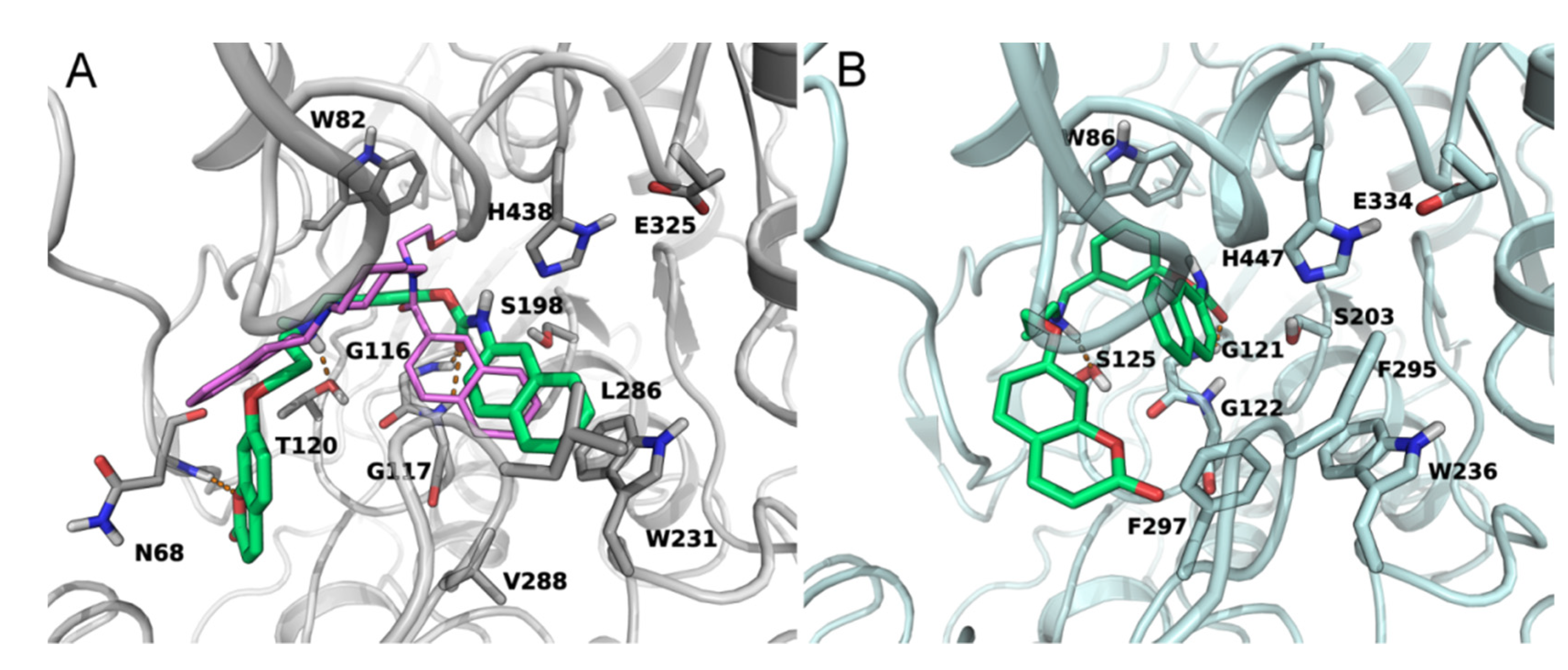 Molecules 26 03254 g003