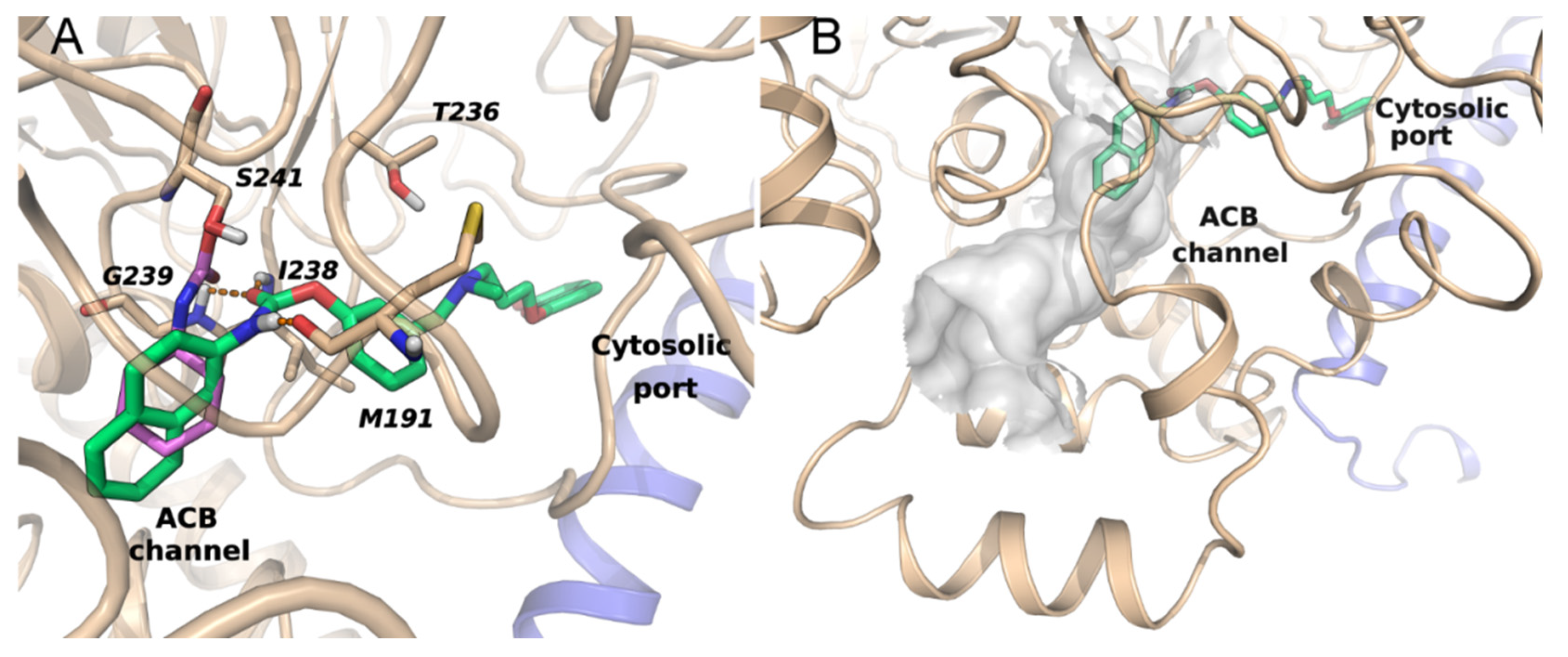 Molecules 26 03254 g004