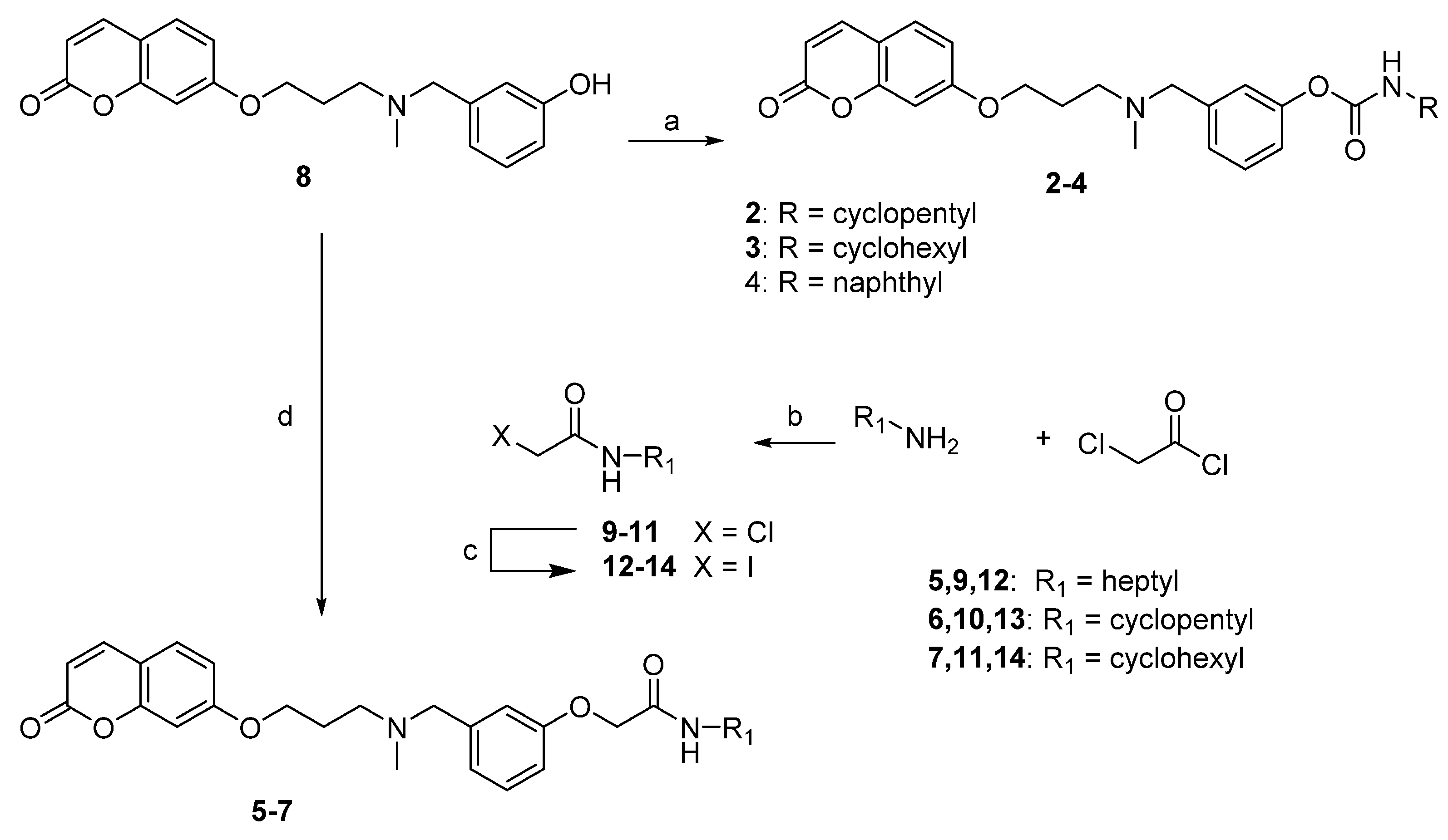 Molecules 26 03254 sch001