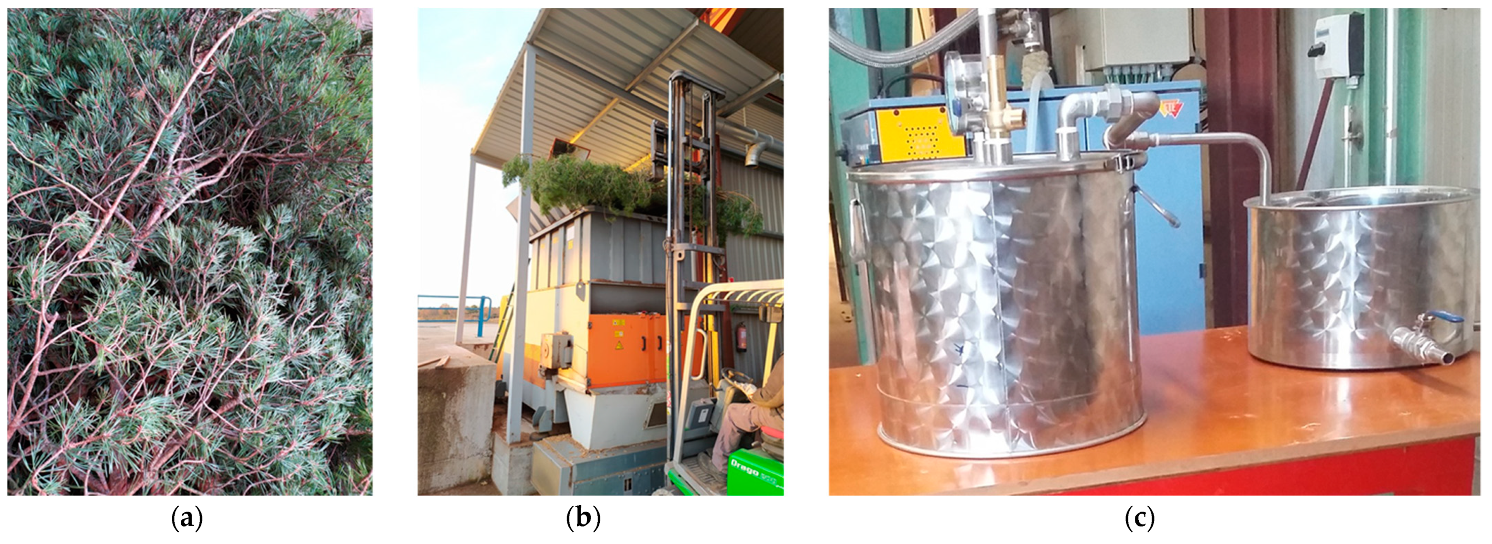 Molecules 26 03257 g003