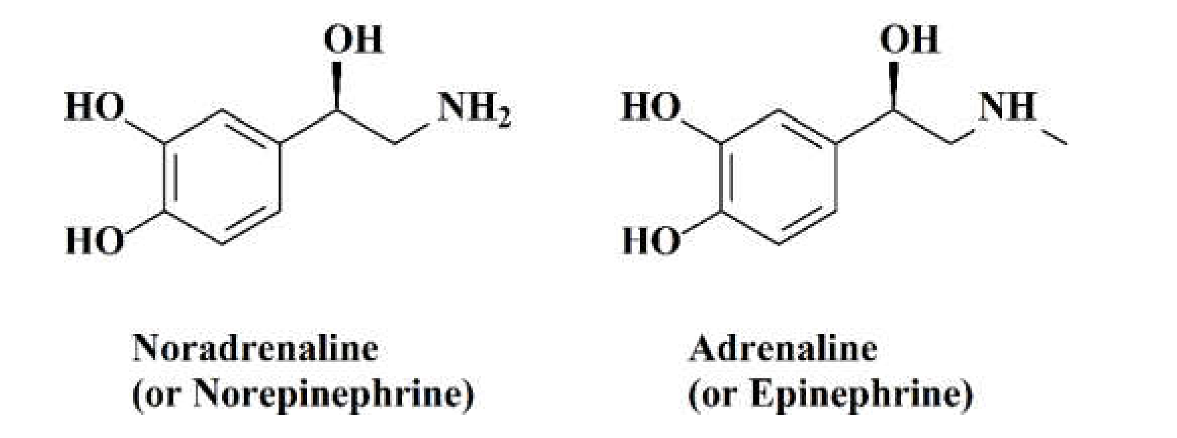 Molecules 26 03259 g001 Molecules 26 03259 g001