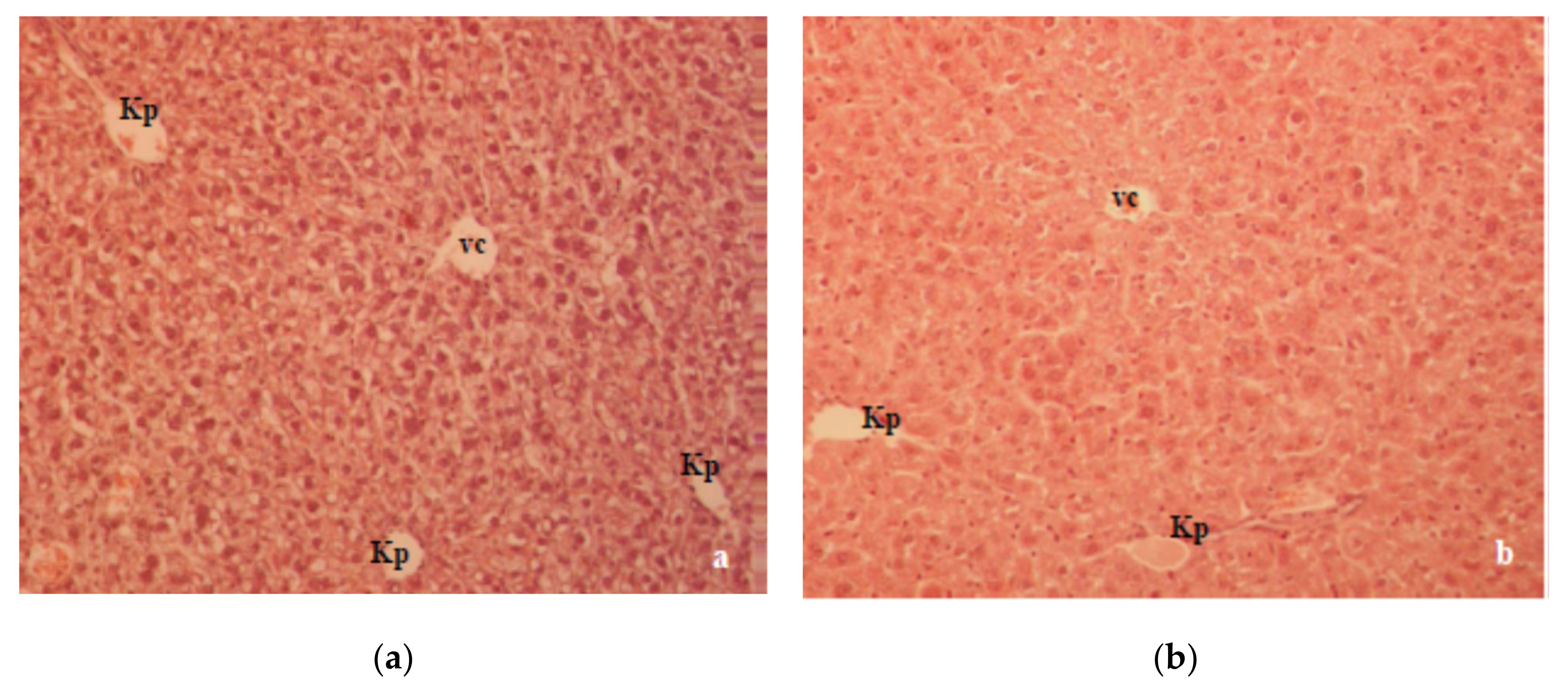 Molecules 26 03262 g006 Molecules 26 03262 g006
