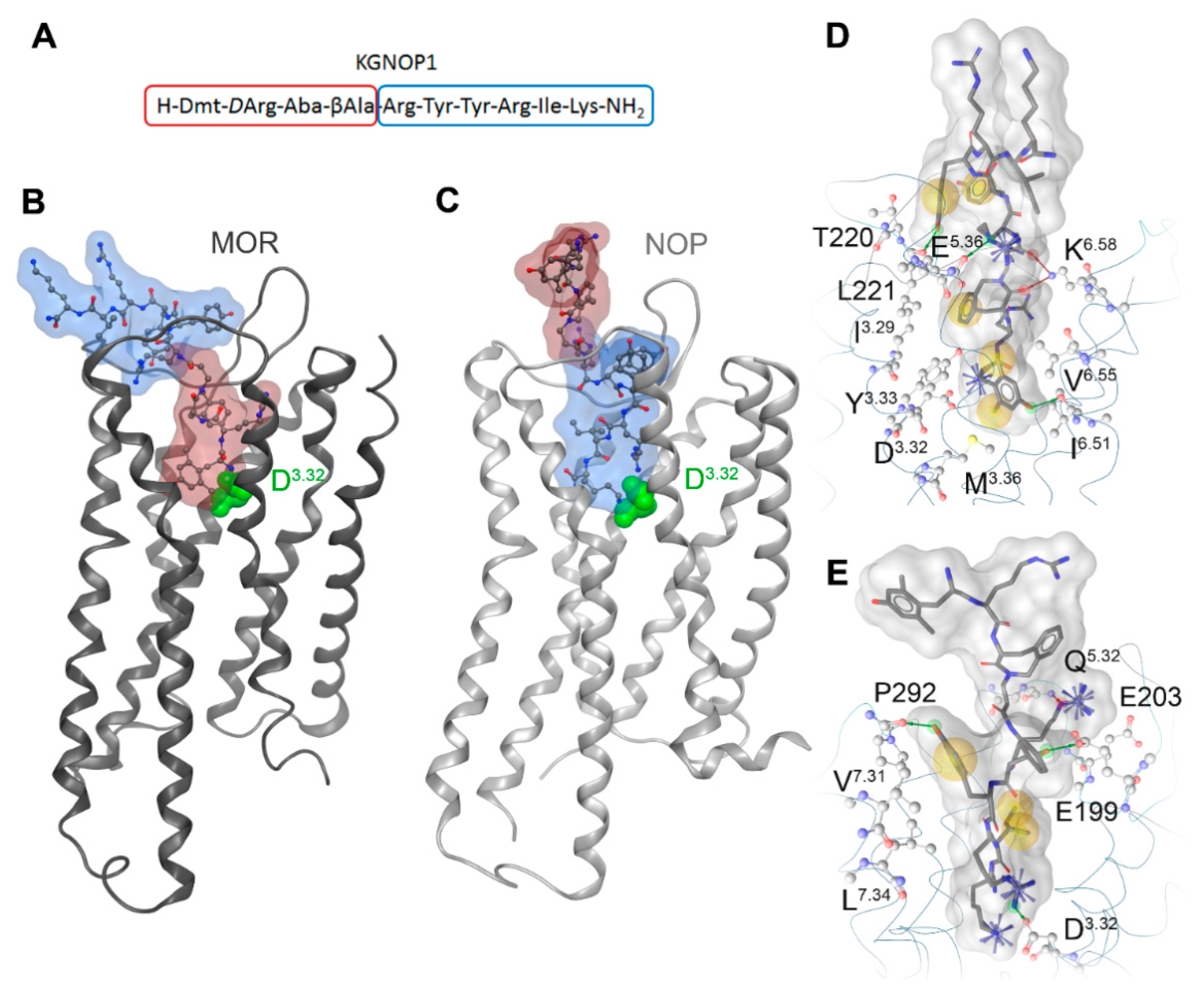 Molecules 26 03267 g005