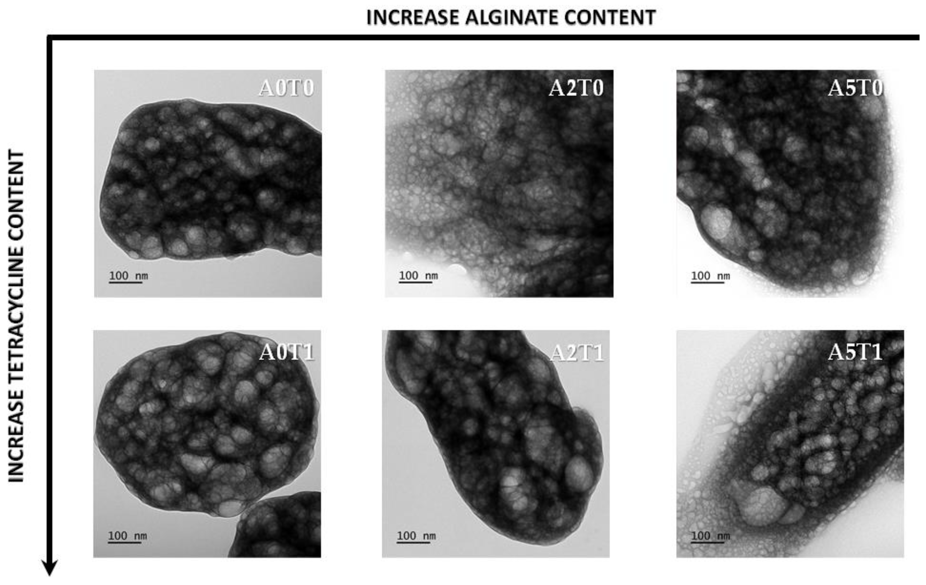 Molecules 26 03272 g003 Molecules 26 03272 g003