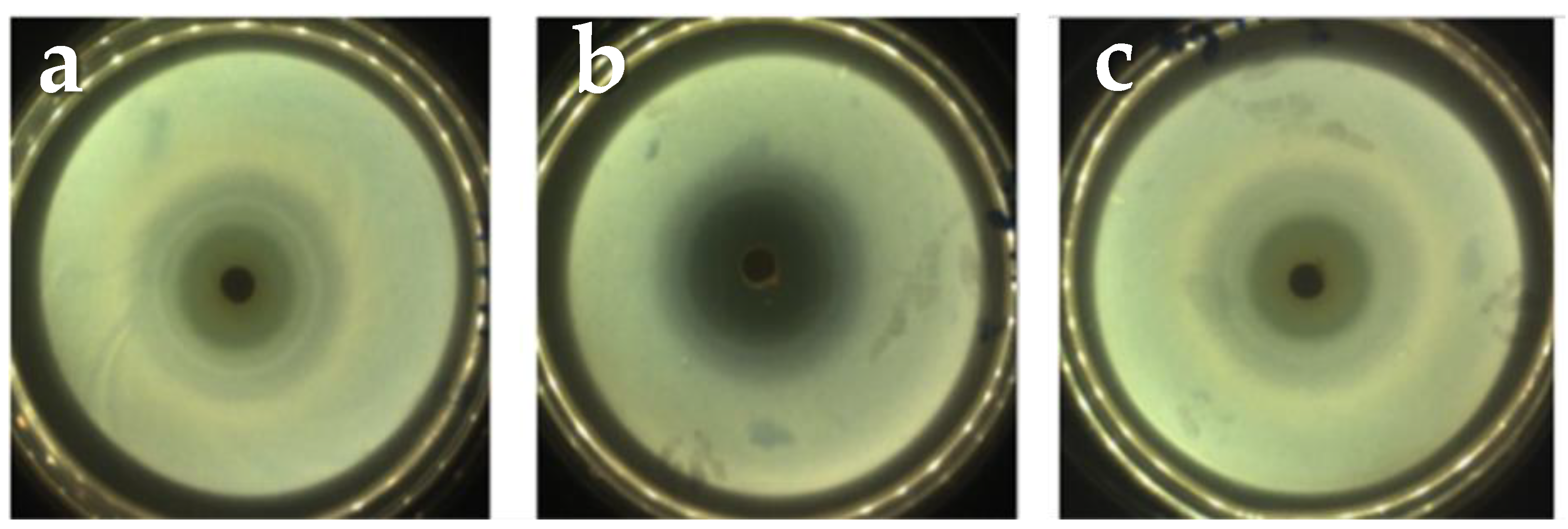 Molecules 26 03272 g005 Molecules 26 03272 g005