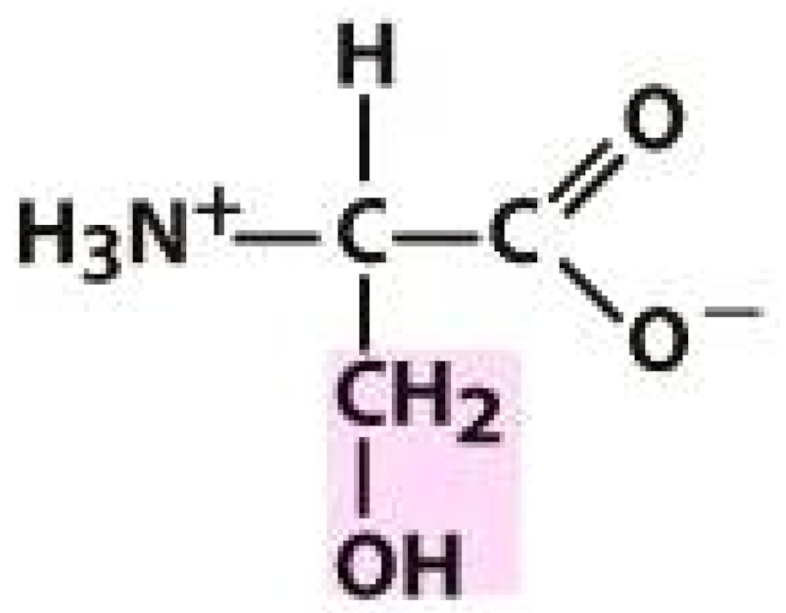 Molecules 26 03279 i002