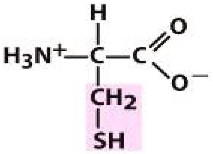 Molecules 26 03279 i010