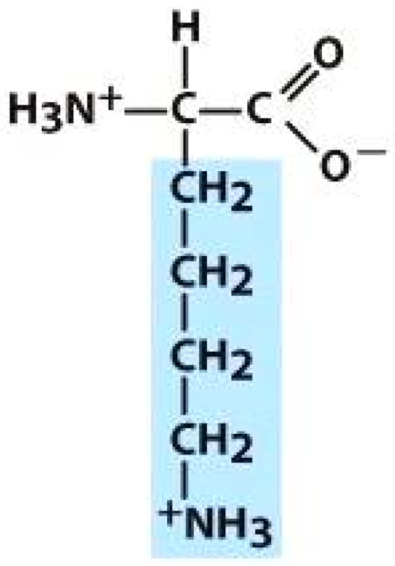 Molecules 26 03279 i011