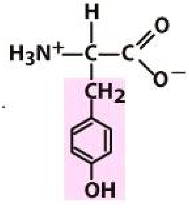 Molecules 26 03279 i013
