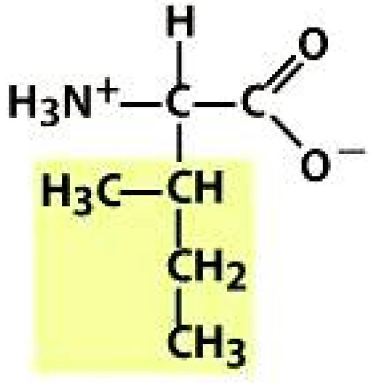 Molecules 26 03279 i014