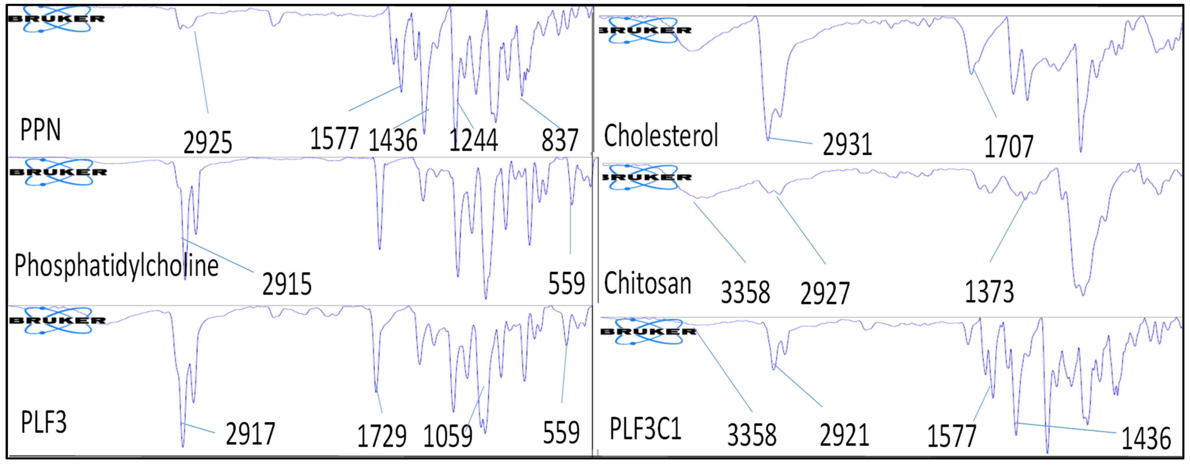 Molecules 26 03281 g002