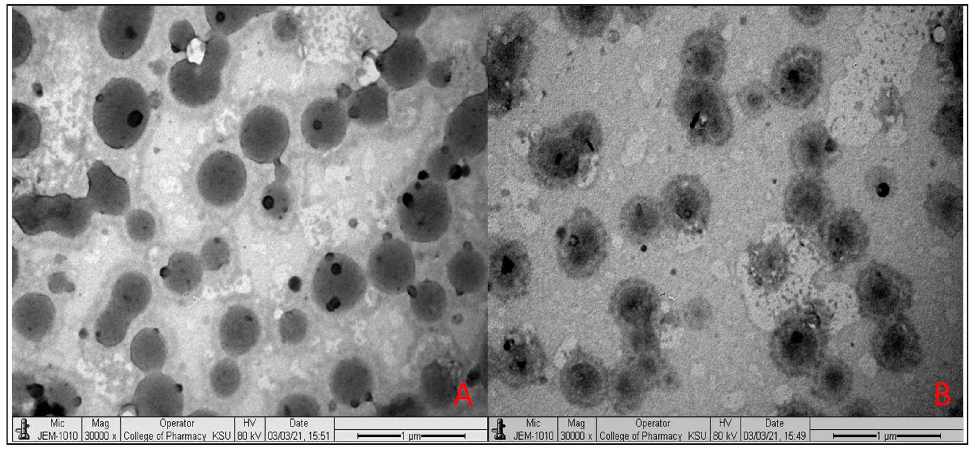 Molecules 26 03281 g003