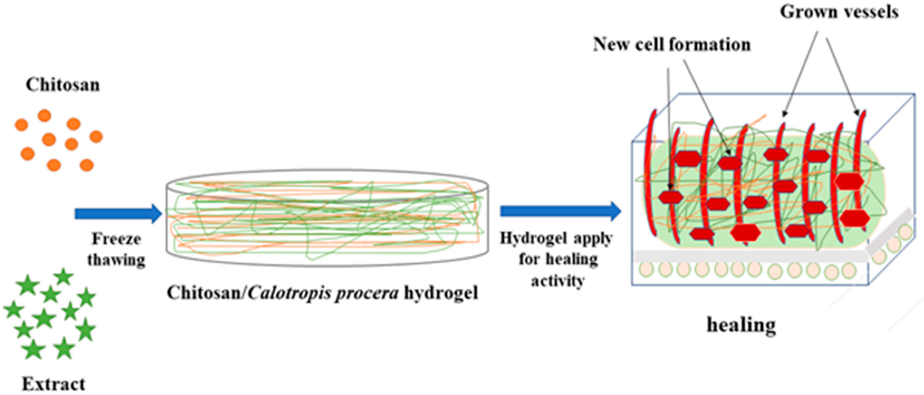 Molecules 26 03284 g001 Molecules 26 03284 g001