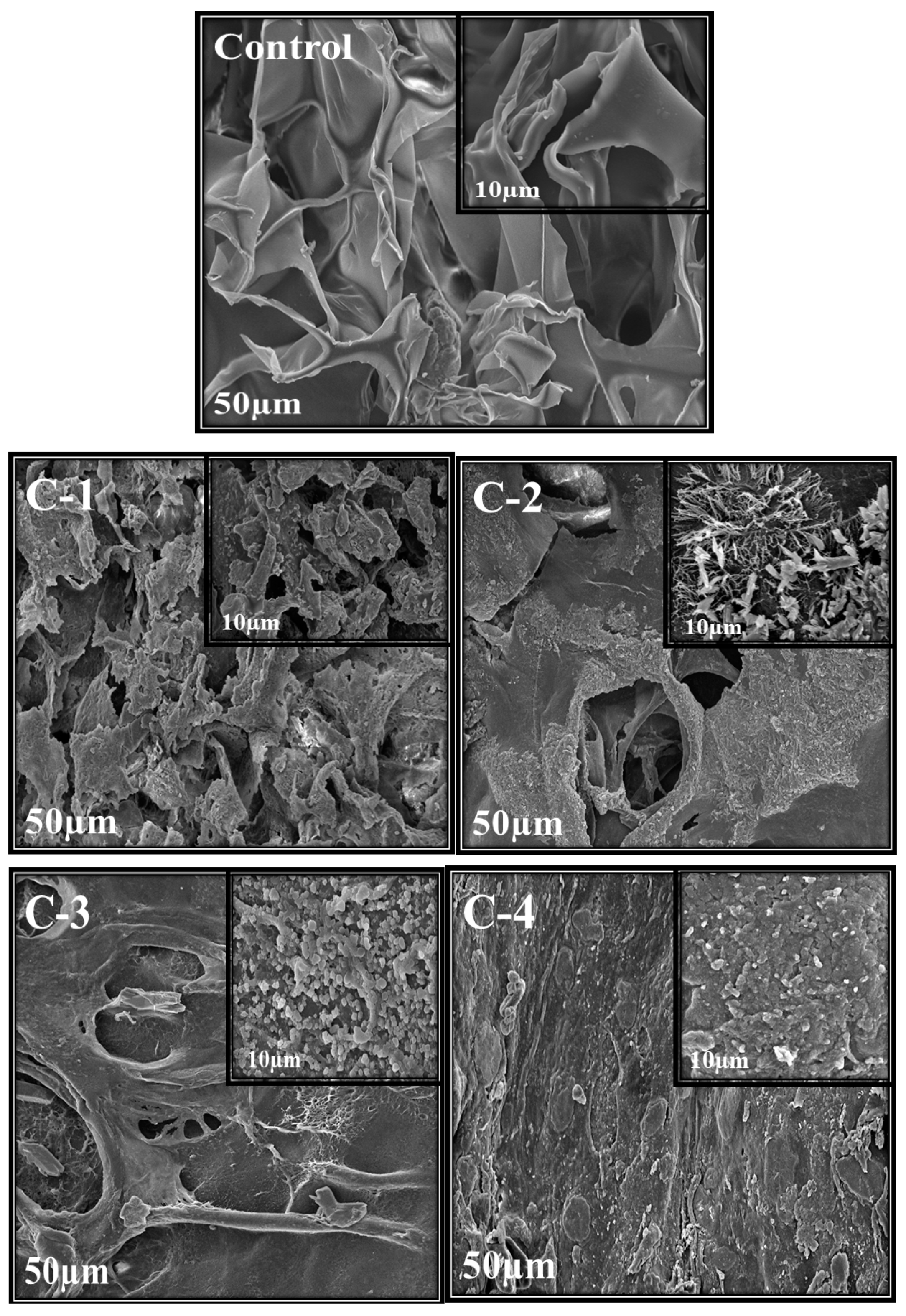Molecules 26 03284 g003 Molecules 26 03284 g003
