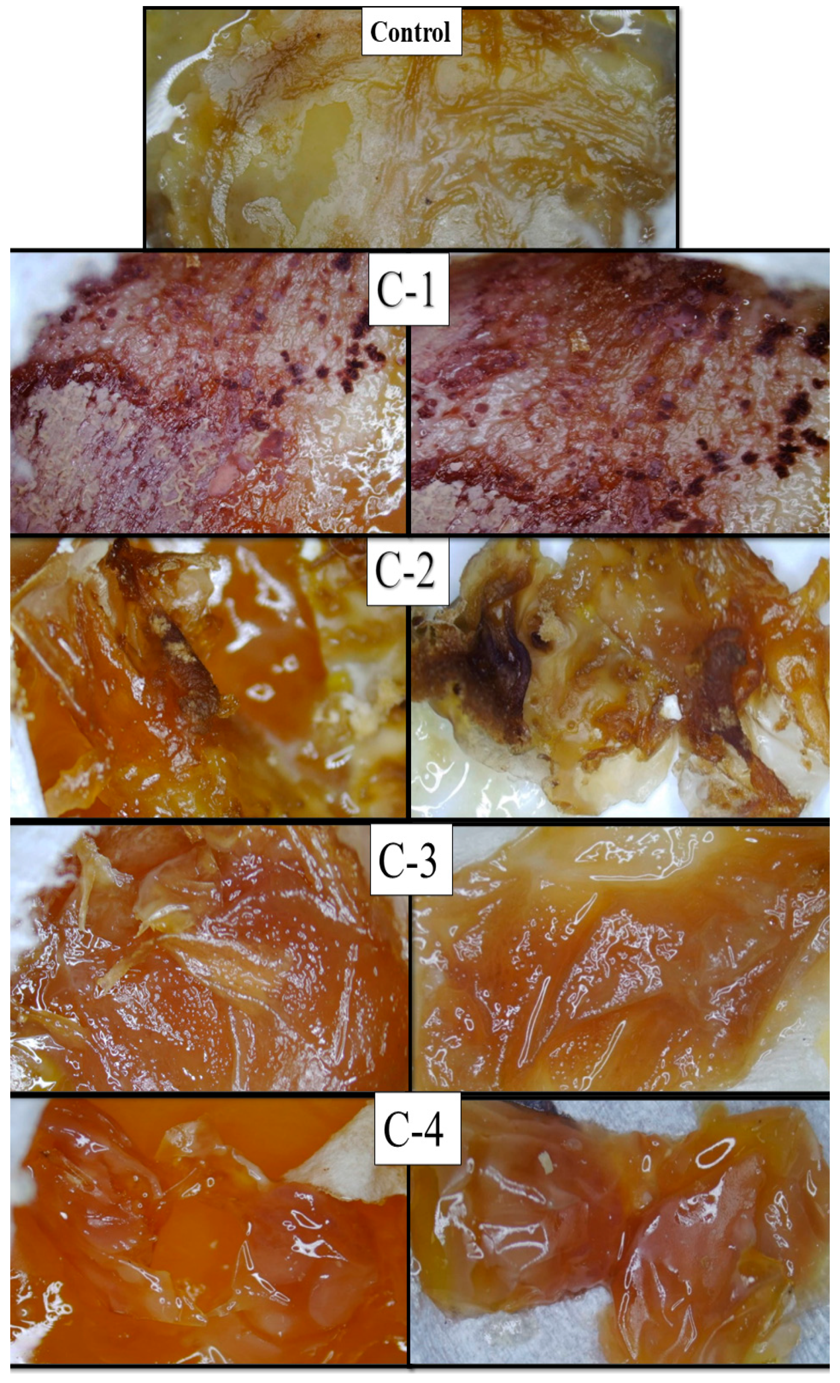Molecules 26 03284 g007 Molecules 26 03284 g007