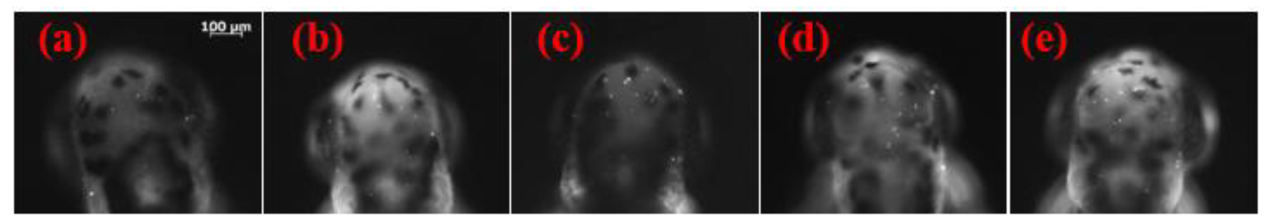 Molecules 26 03297 g001 Molecules 26 03297 g001