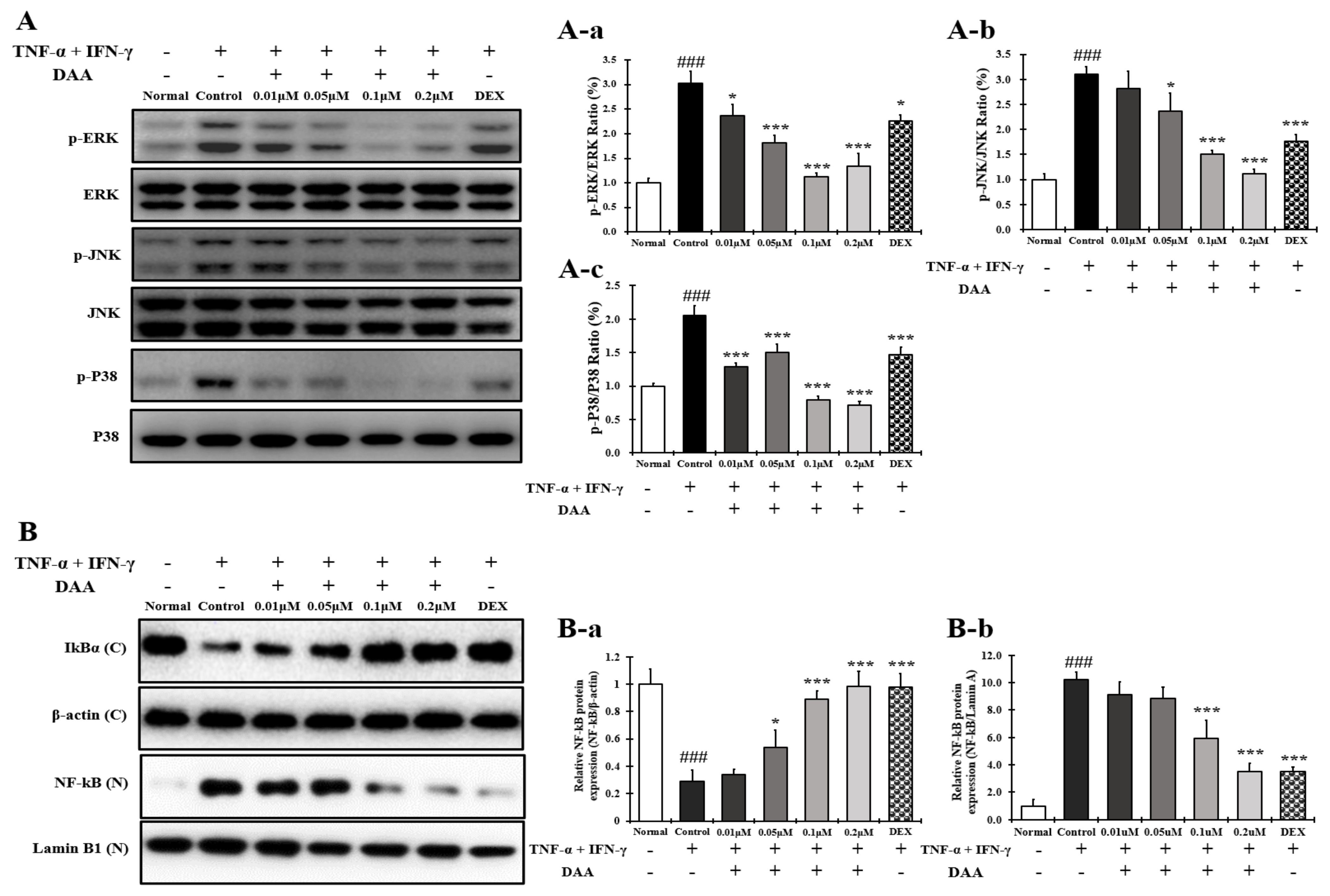 Molecules 26 03298 g009
