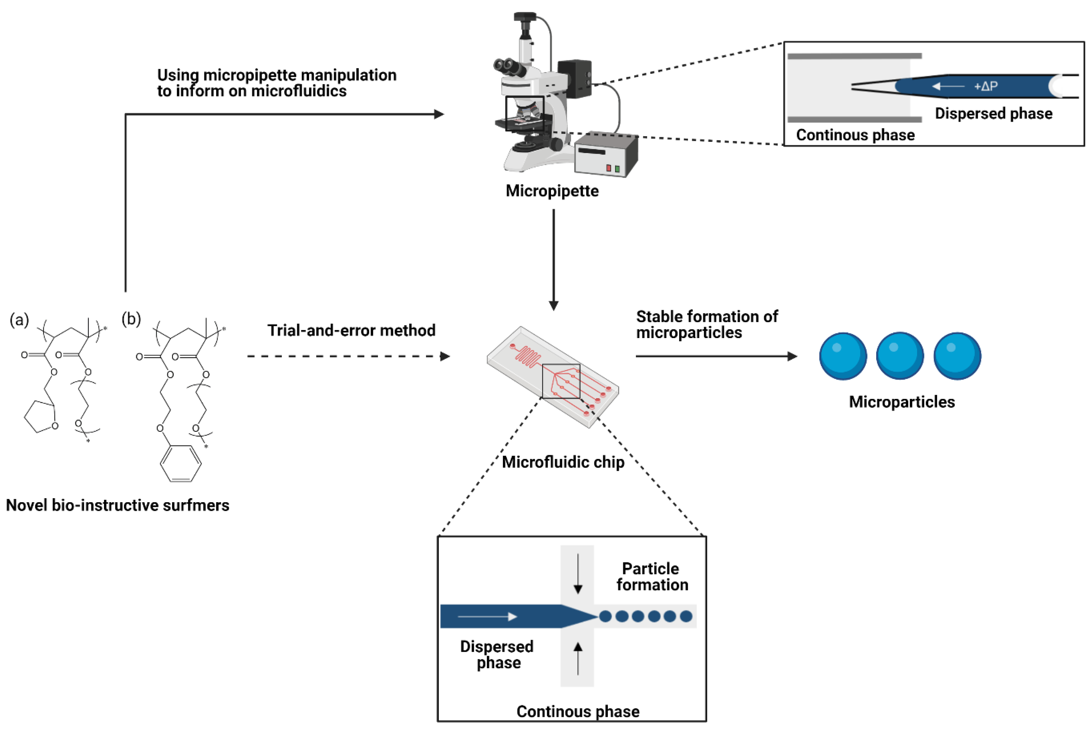 Molecules 26 03302 g001