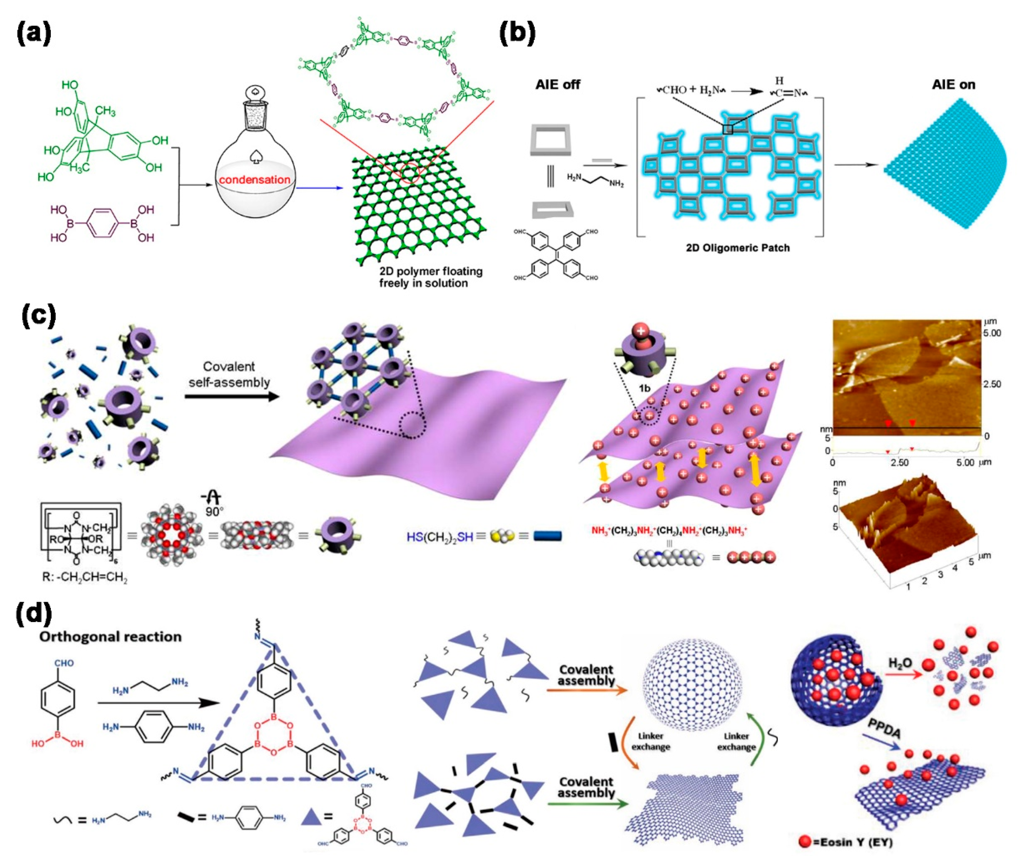 Molecules 26 03310 g005