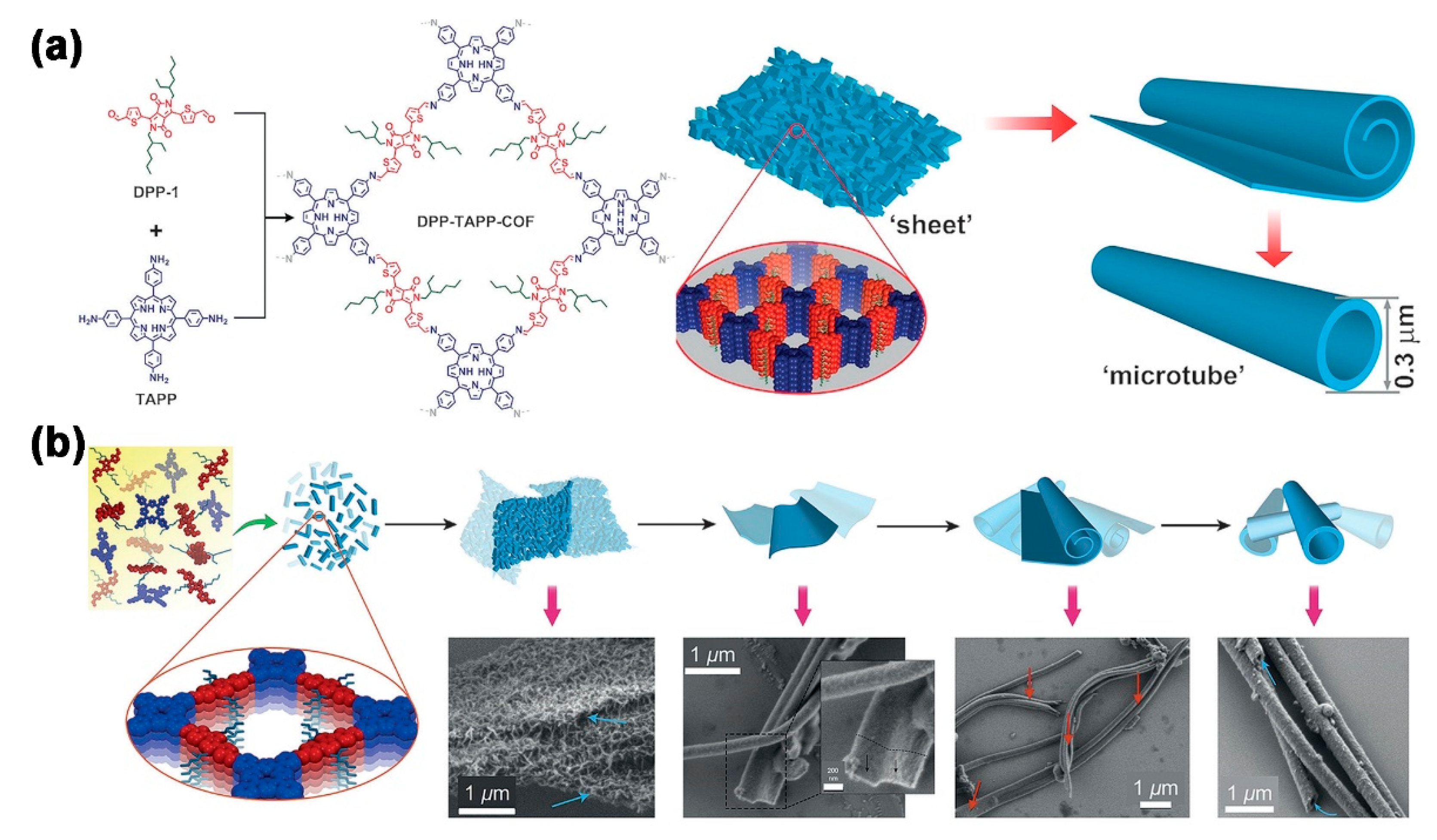 Molecules 26 03310 g006