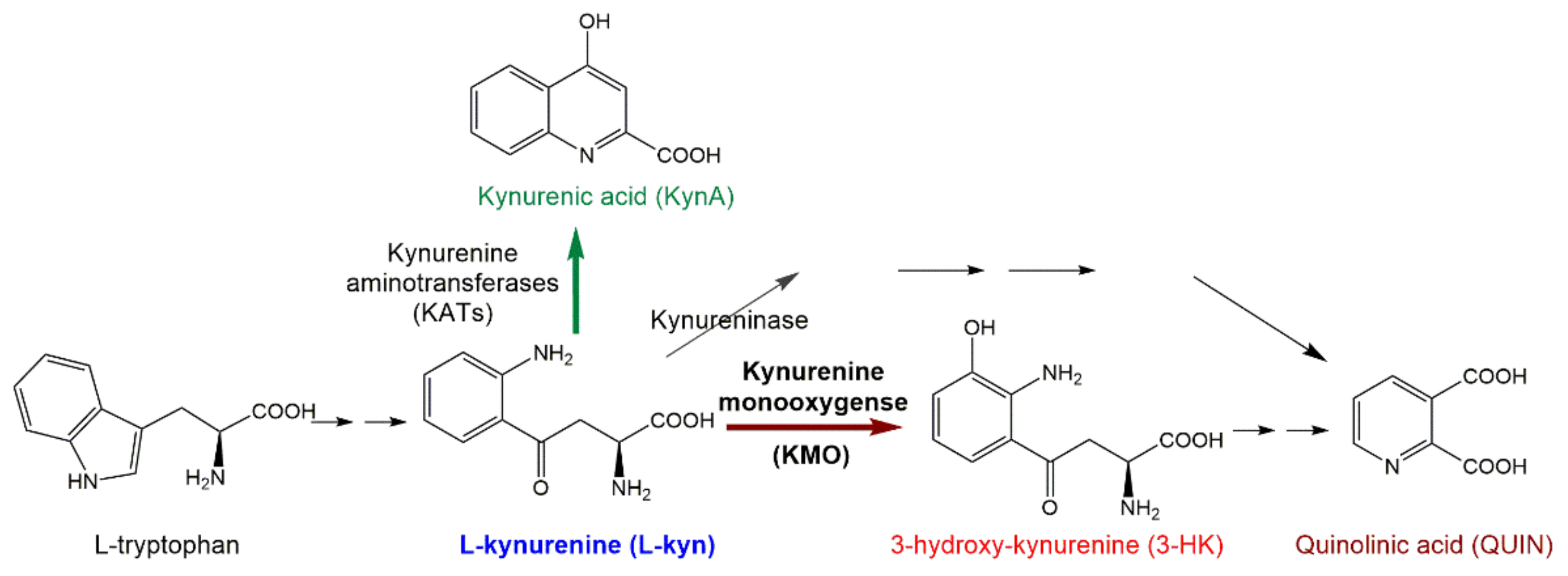 Molecules 26 03314 g001 Molecules 26 03314 g001