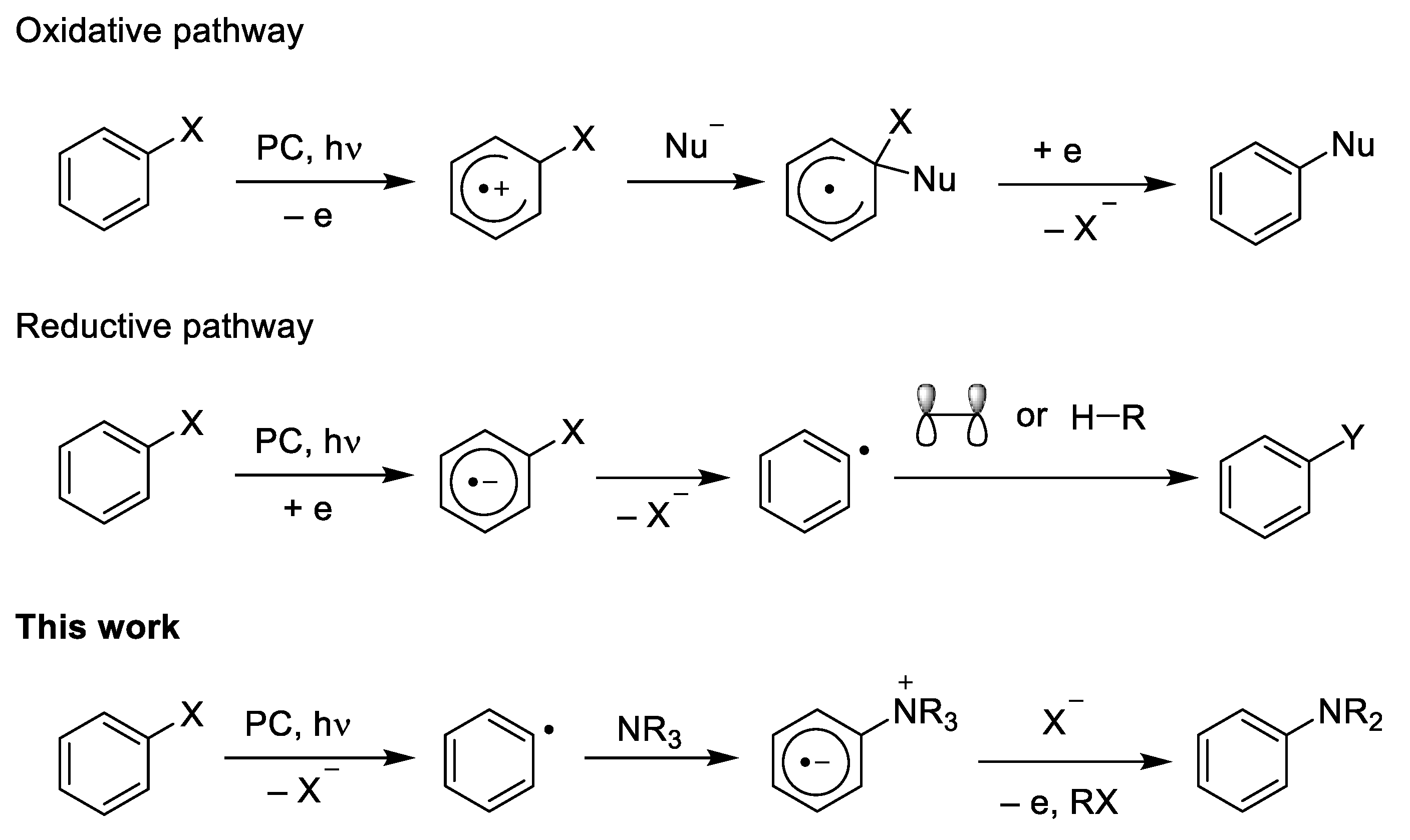 Molecules 26 03323 sch001