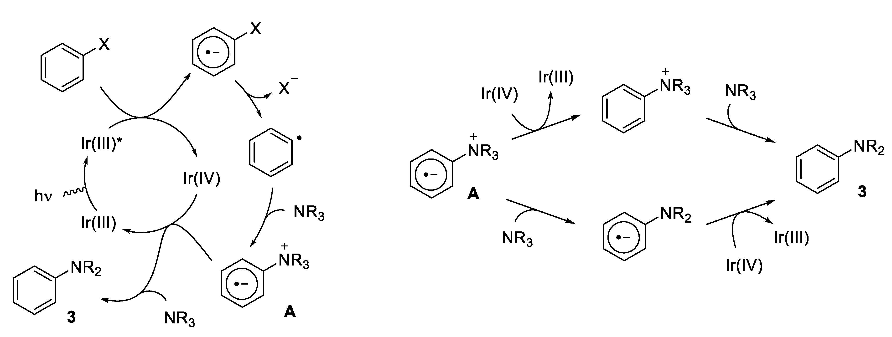 Molecules 26 03323 sch003