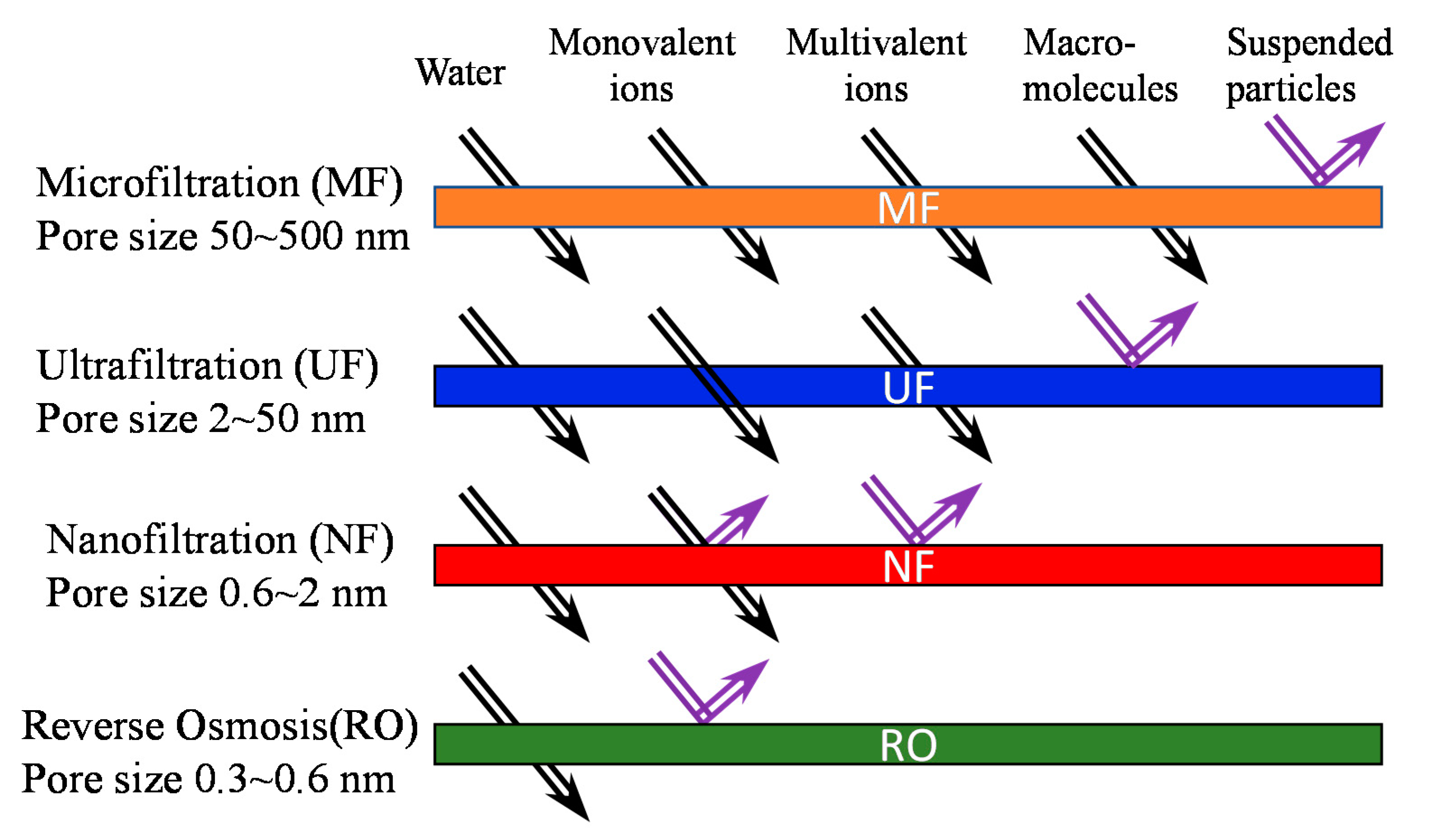 Molecules 26 03331 g001 Molecules 26 03331 g001
