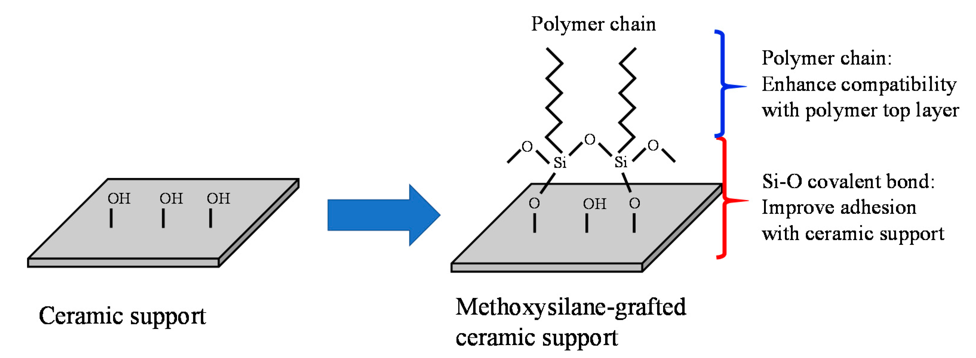Molecules 26 03331 g010 Molecules 26 03331 g010