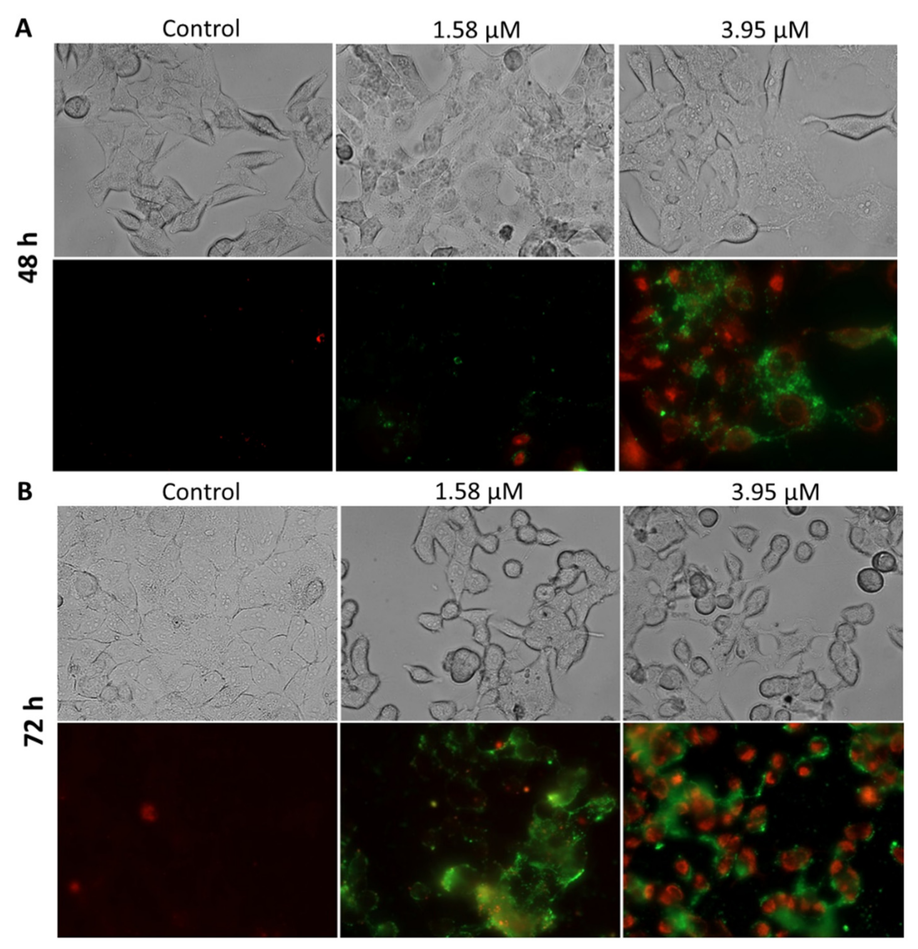 Molecules 26 03334 g006