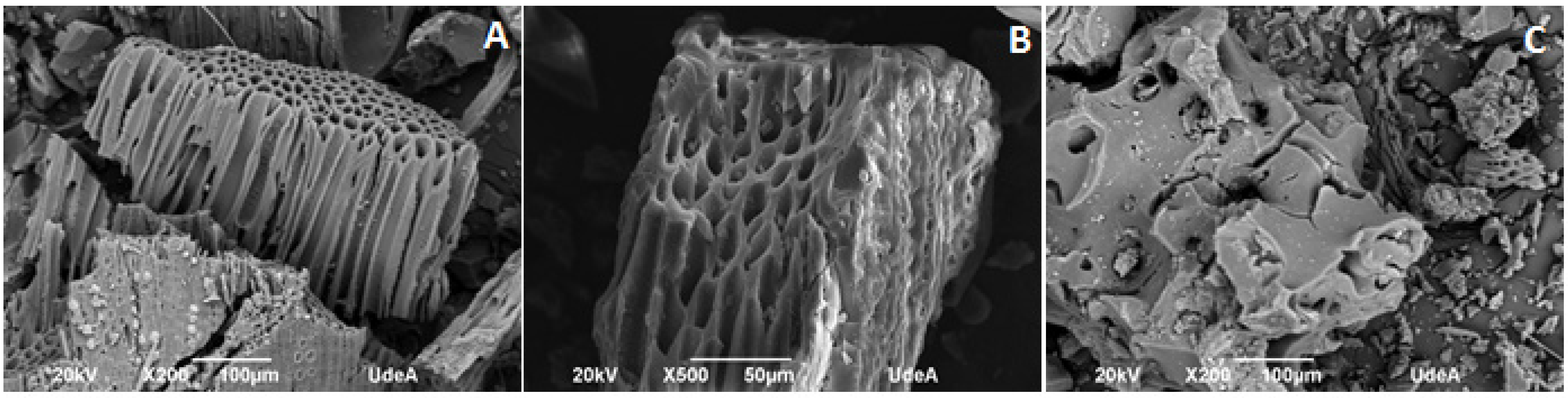 Molecules 26 03340 g002