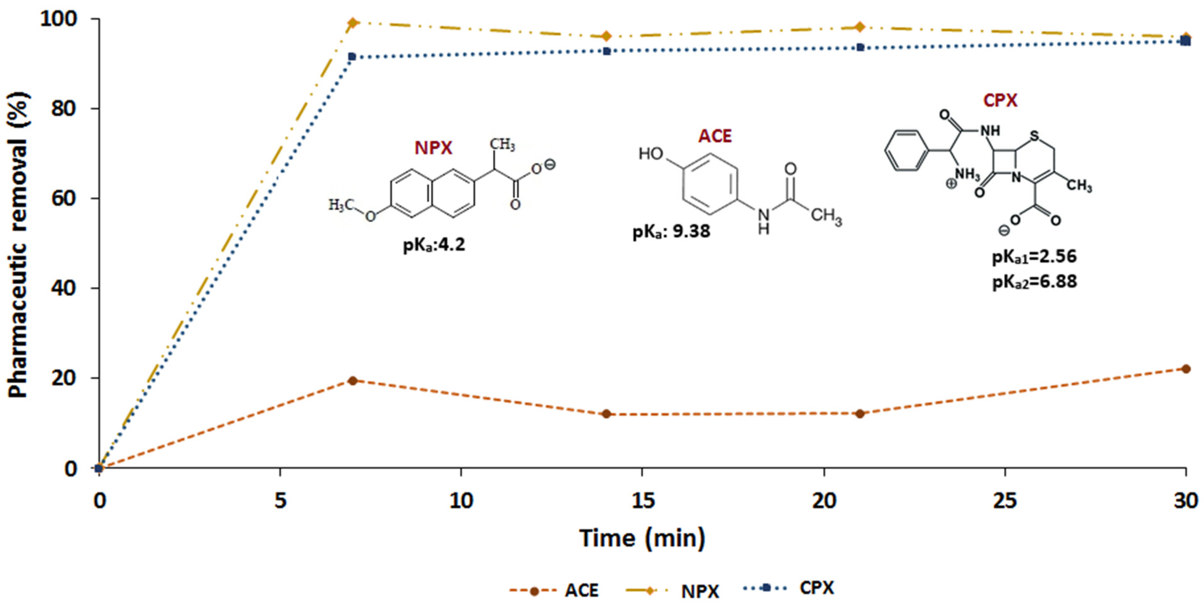 Molecules 26 03340 g004