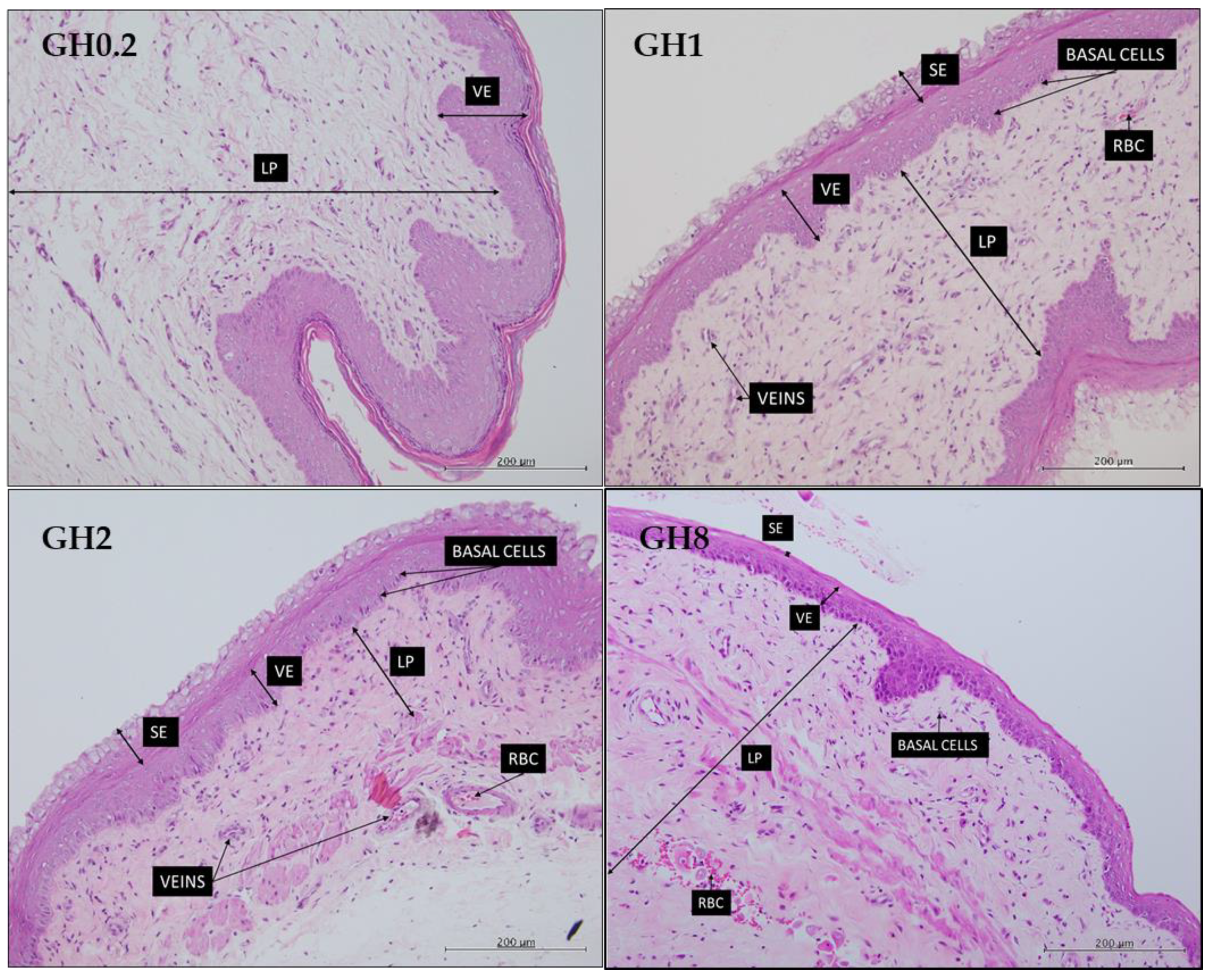 Molecules 26 03346 g007 Molecules 26 03346 g007