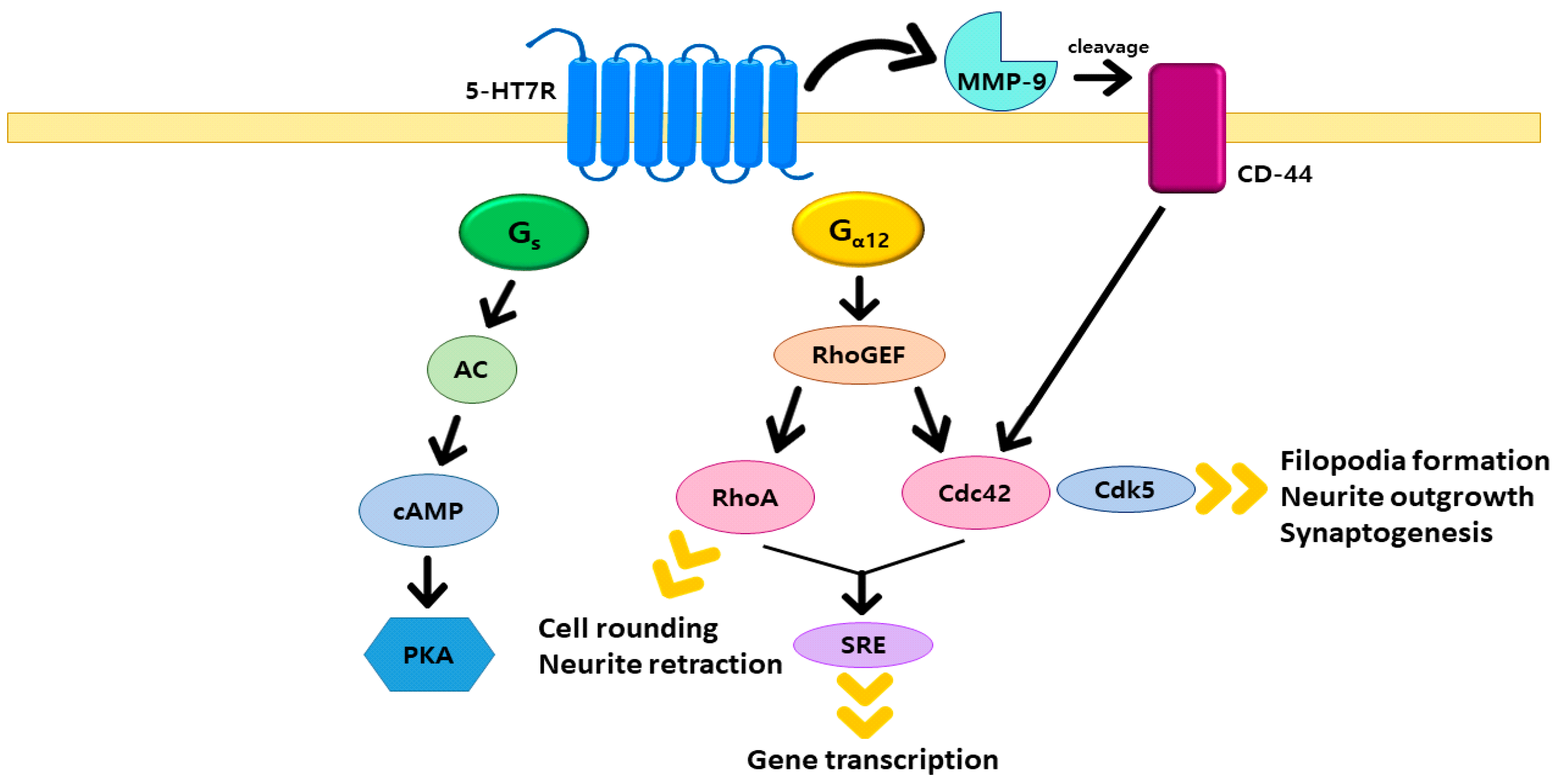 Molecules 26 03348 g001