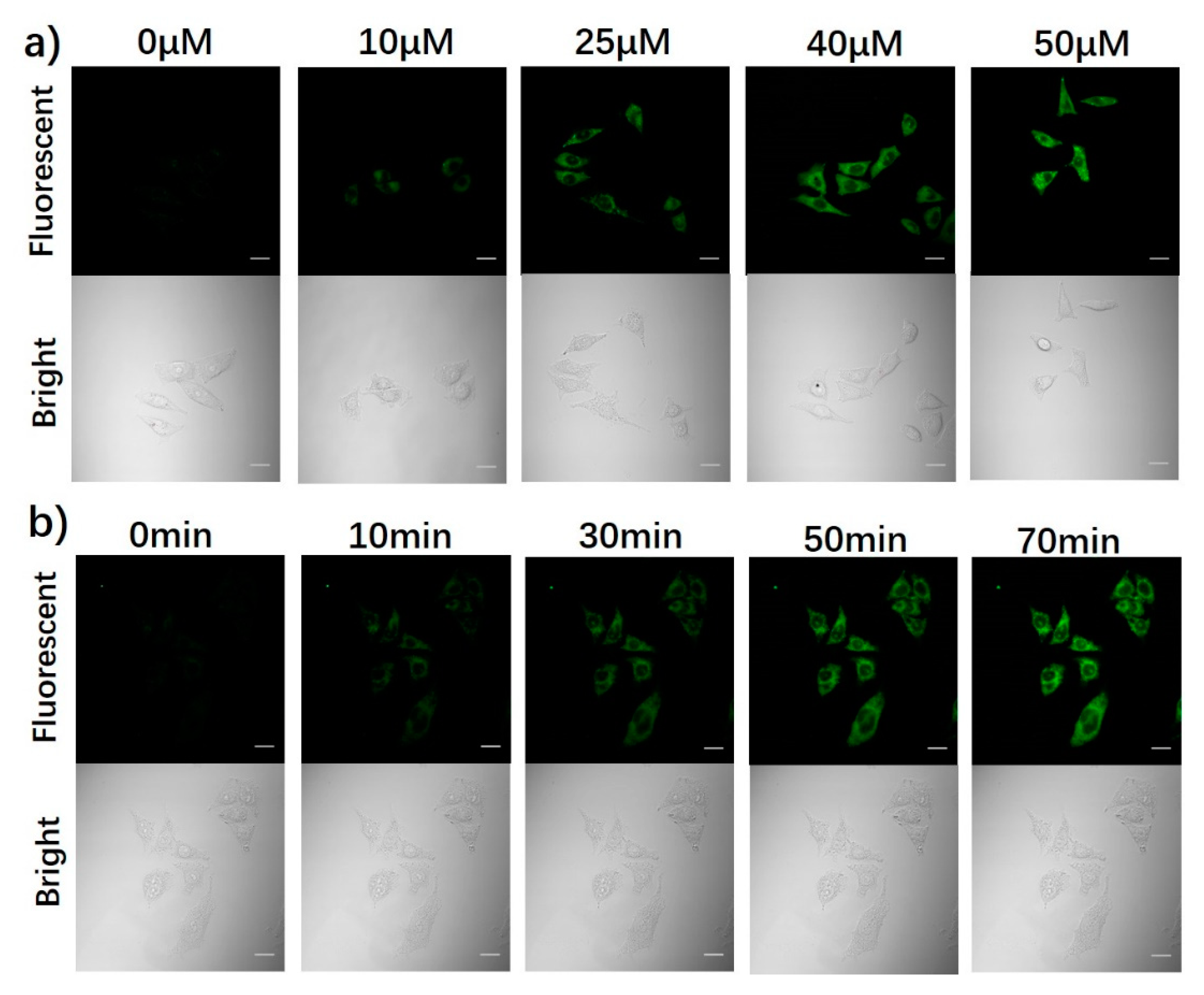 Molecules 26 03352 g005 Molecules 26 03352 g005