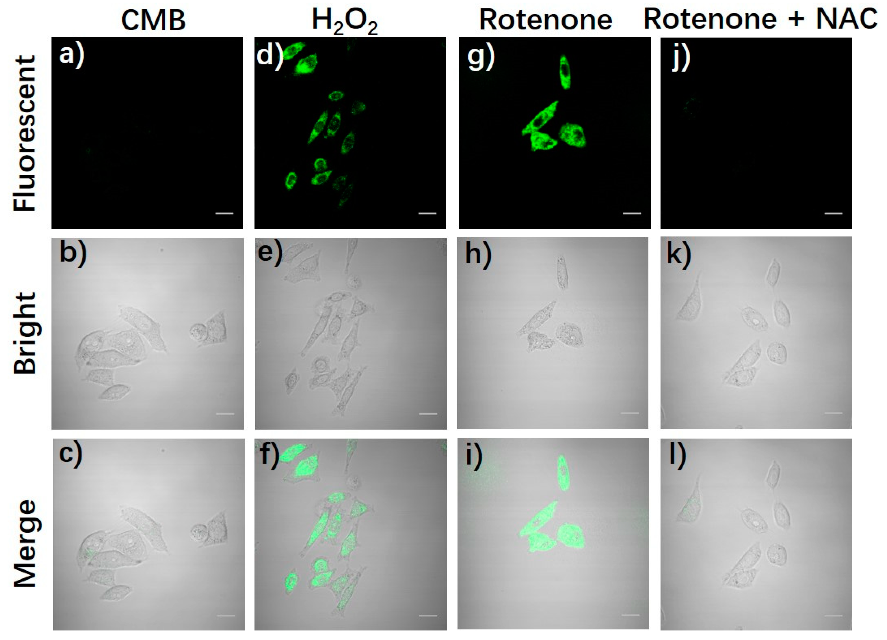 Molecules 26 03352 g006 Molecules 26 03352 g006