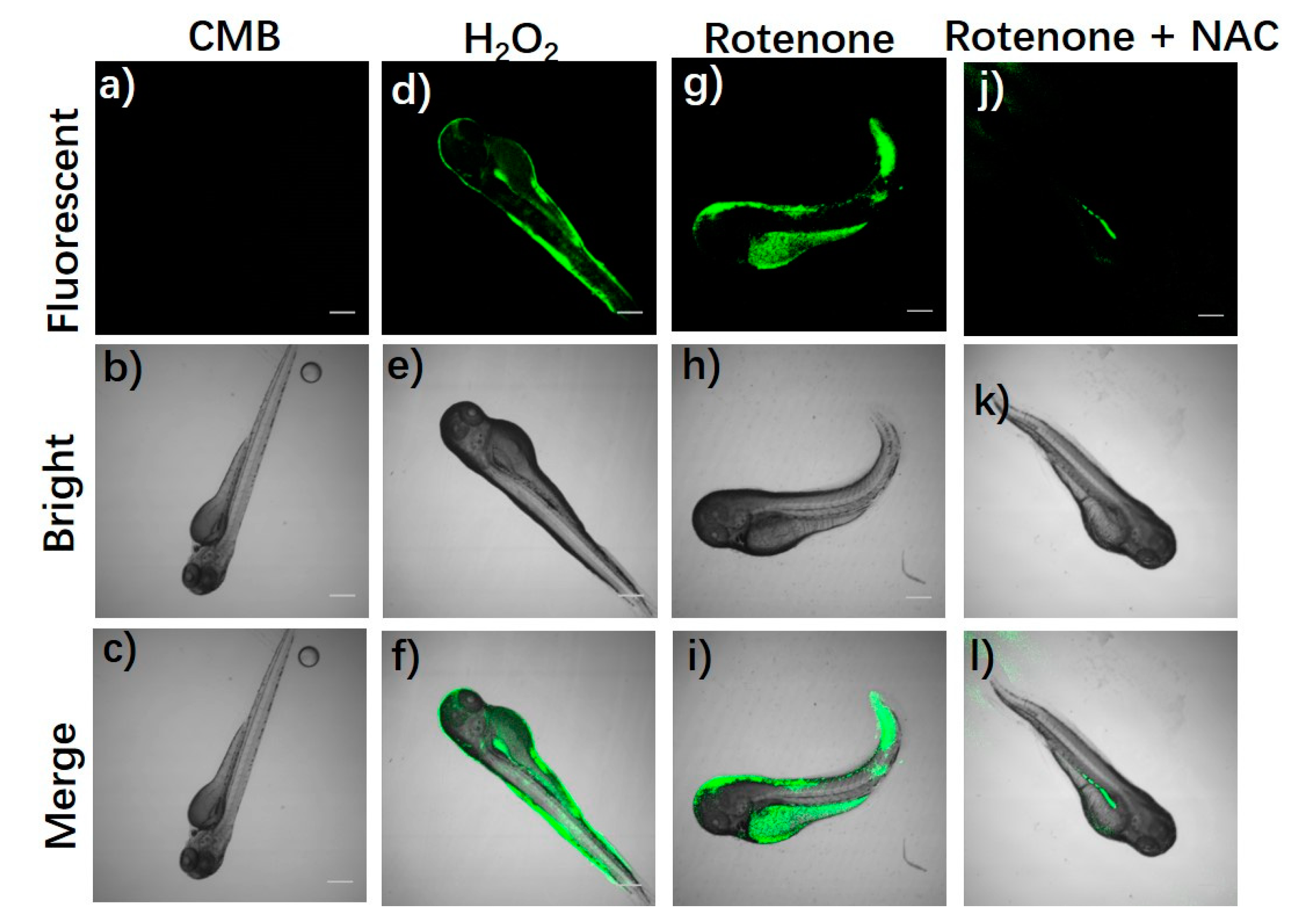 Molecules 26 03352 g007 Molecules 26 03352 g007