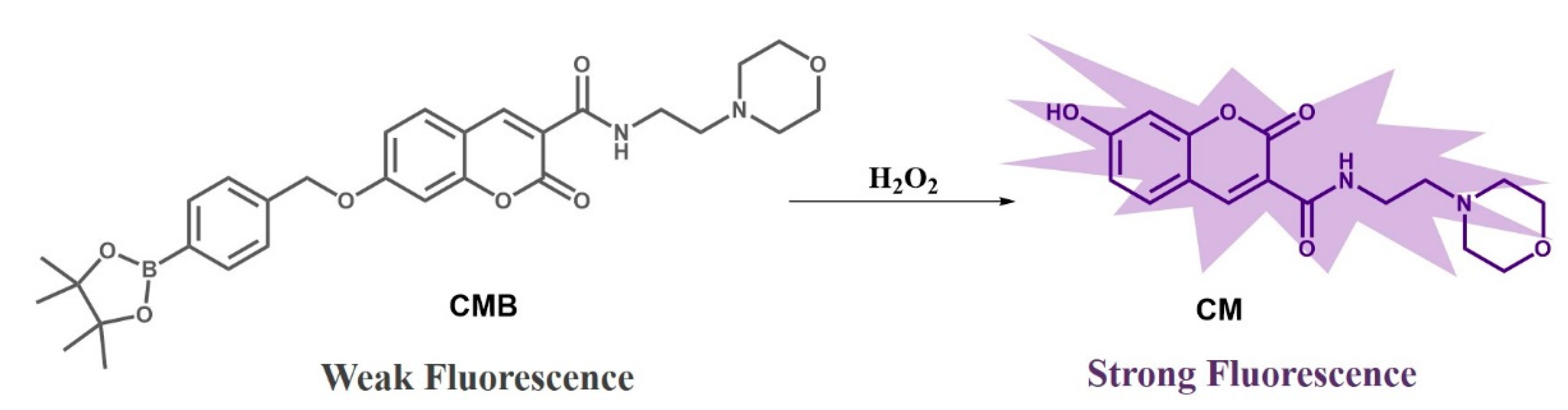 Molecules 26 03352 sch001 Molecules 26 03352 sch001